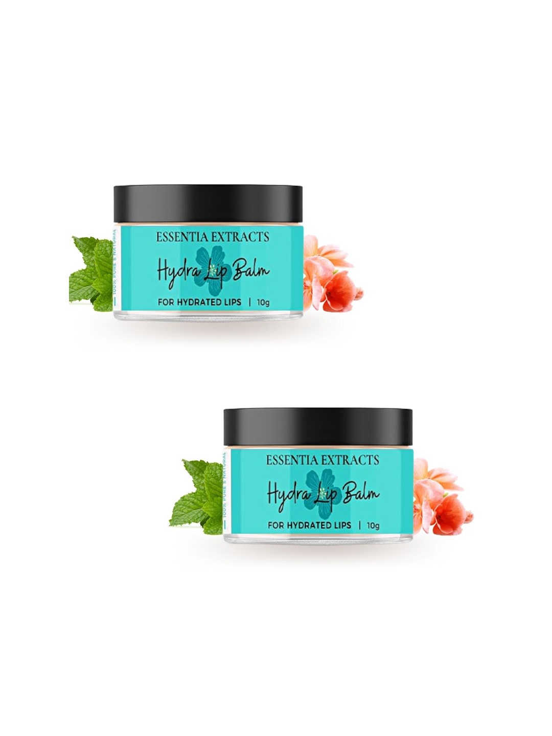 

ESSENTIA EXTRACTS Set of 2 Hydra Lip Balm 20 gm, Yellow
