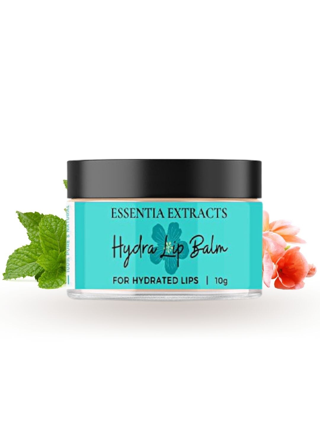

ESSENTIA EXTRACTS Hydra Lip Balm for Hydrated Lips with Shea Butter - 10 g, Blue