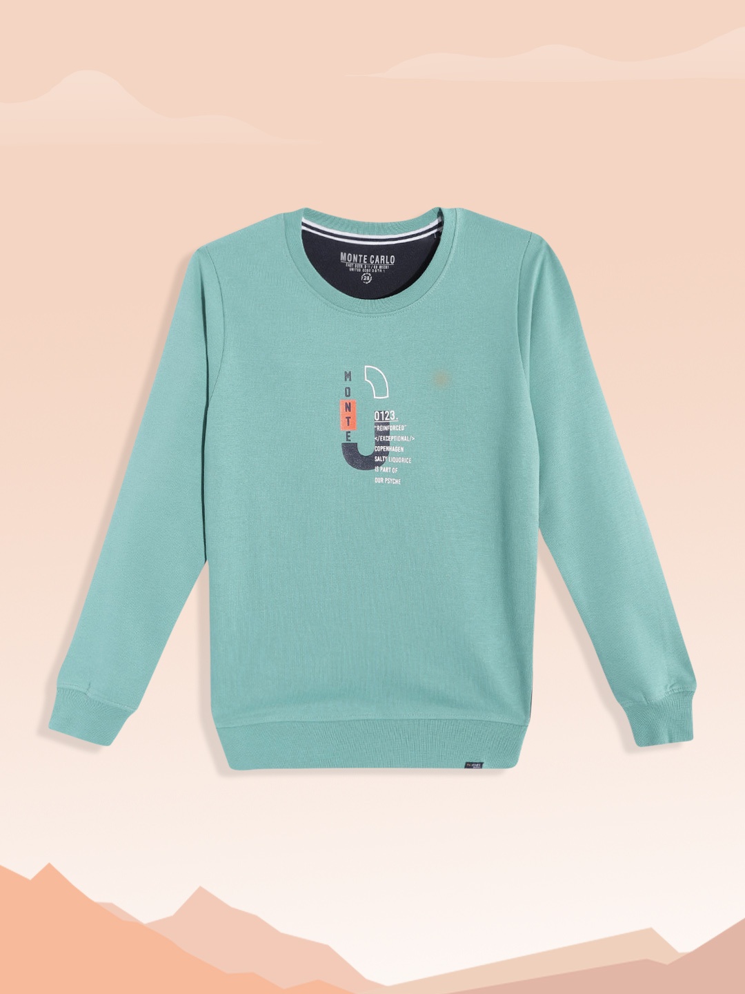 

Monte Carlo Boys Sage Green Solid Sweatshirt