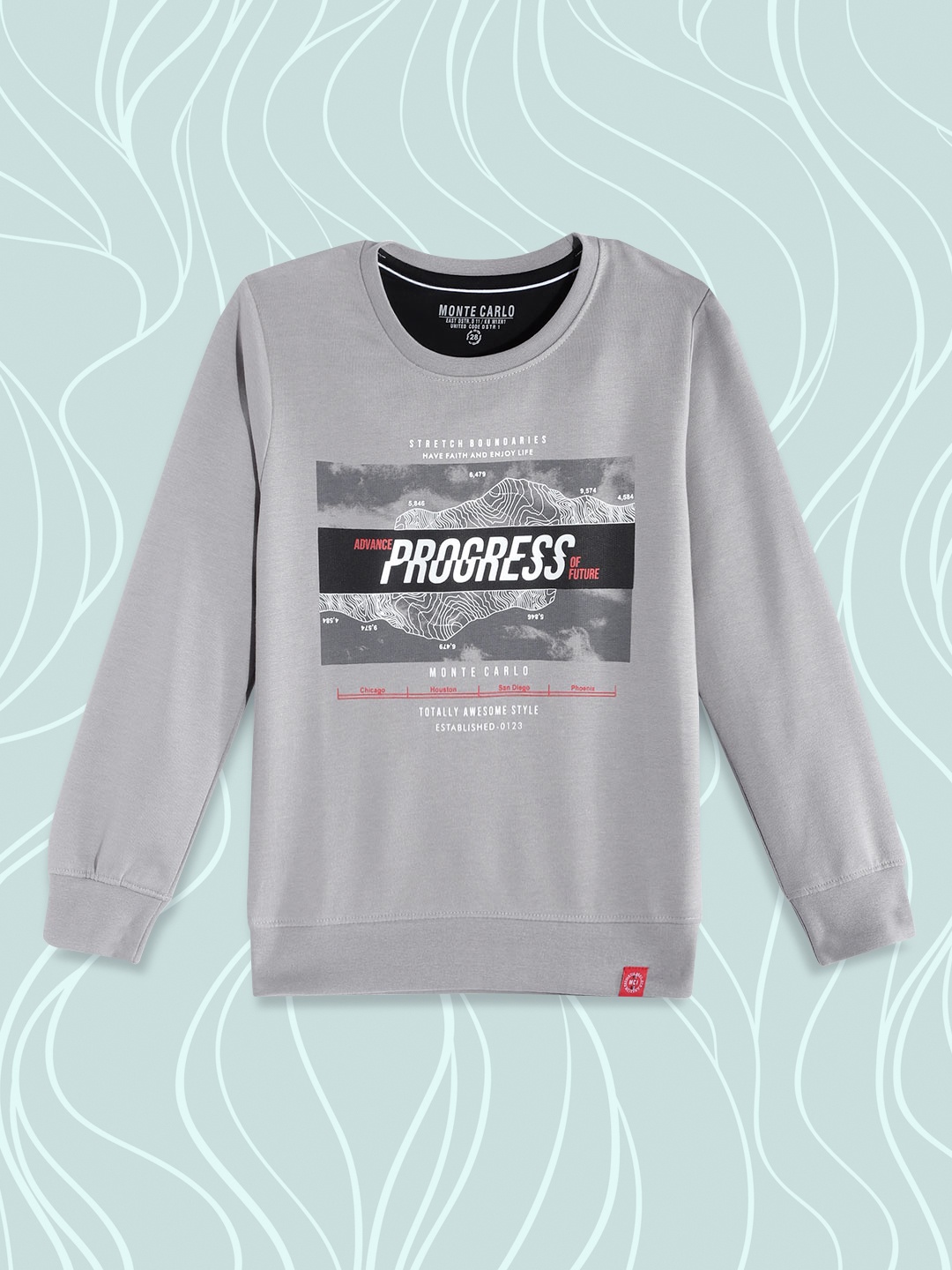 

Monte Carlo Boys Grey & Black Graphic Printed Sweatshirt
