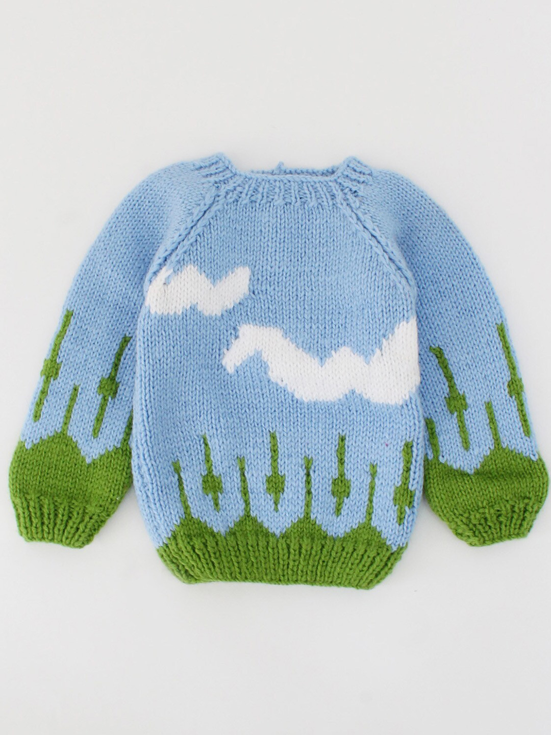 

Woonie Unisex Kids Blue & Green Pullover