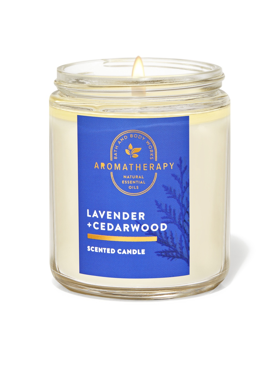 

Bath & Body Works Lavender Cedarwood Single Wick Candle, Transparent