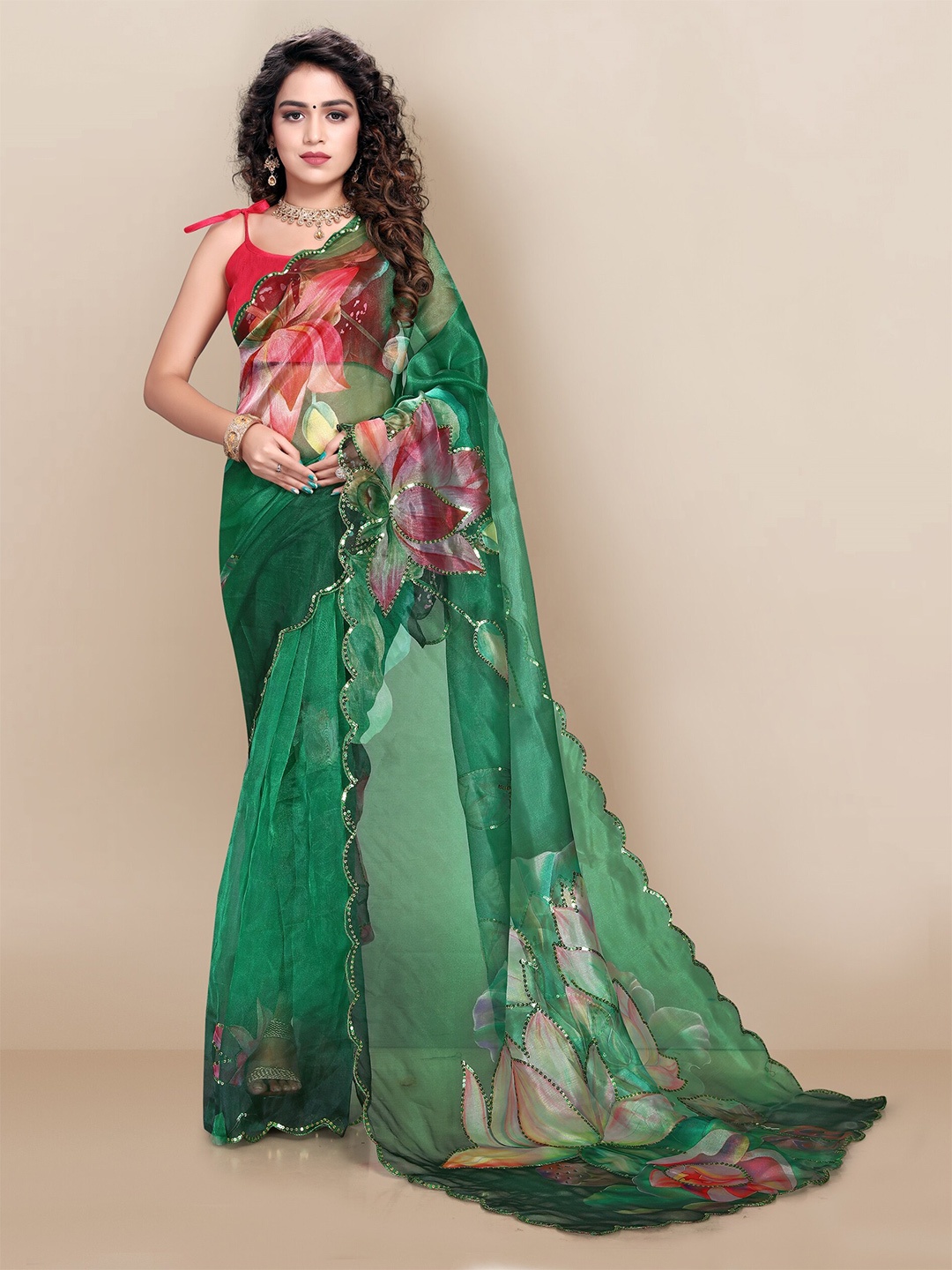 

VAIRAGEE Green & Pink Floral Organza Saree