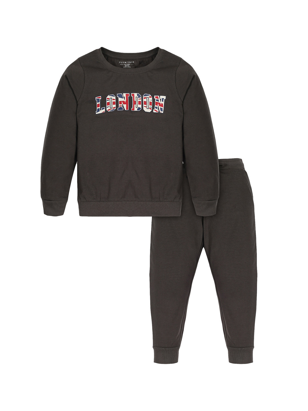 

PLUM TREE Boys Grey T-shirt with Trousers