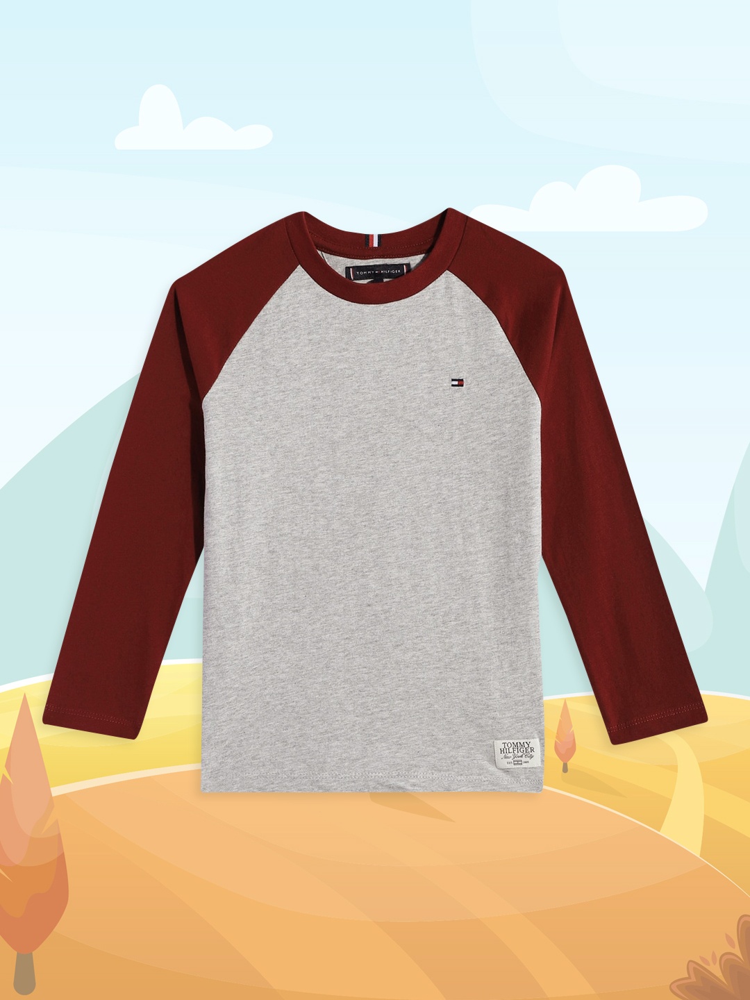 

Tommy Hilfiger Boys Grey & Maroon Colourblocked Pure Cotton T-shirt