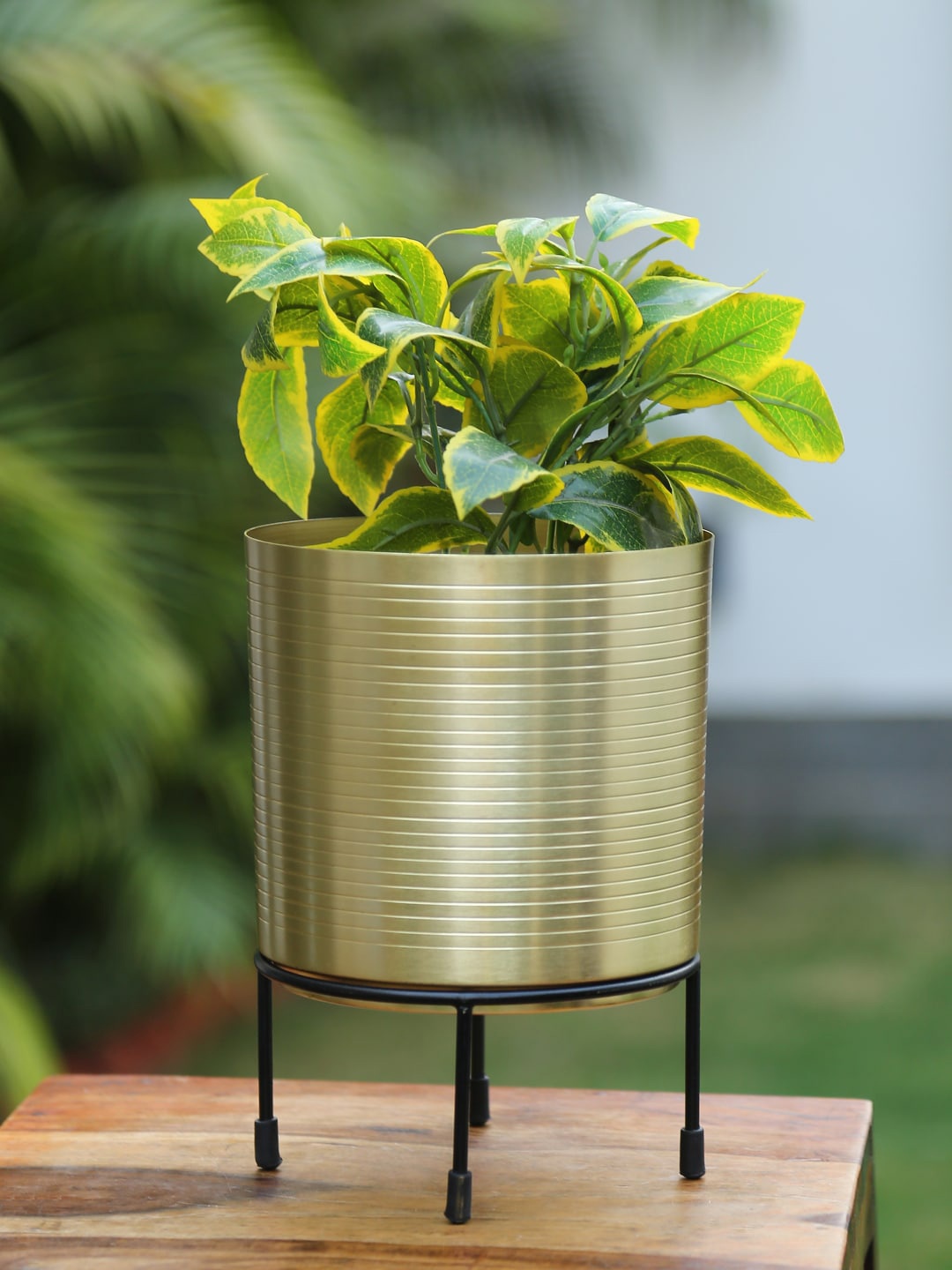

Aapno Rajasthan Gold-Toned & Black Planters With Stand