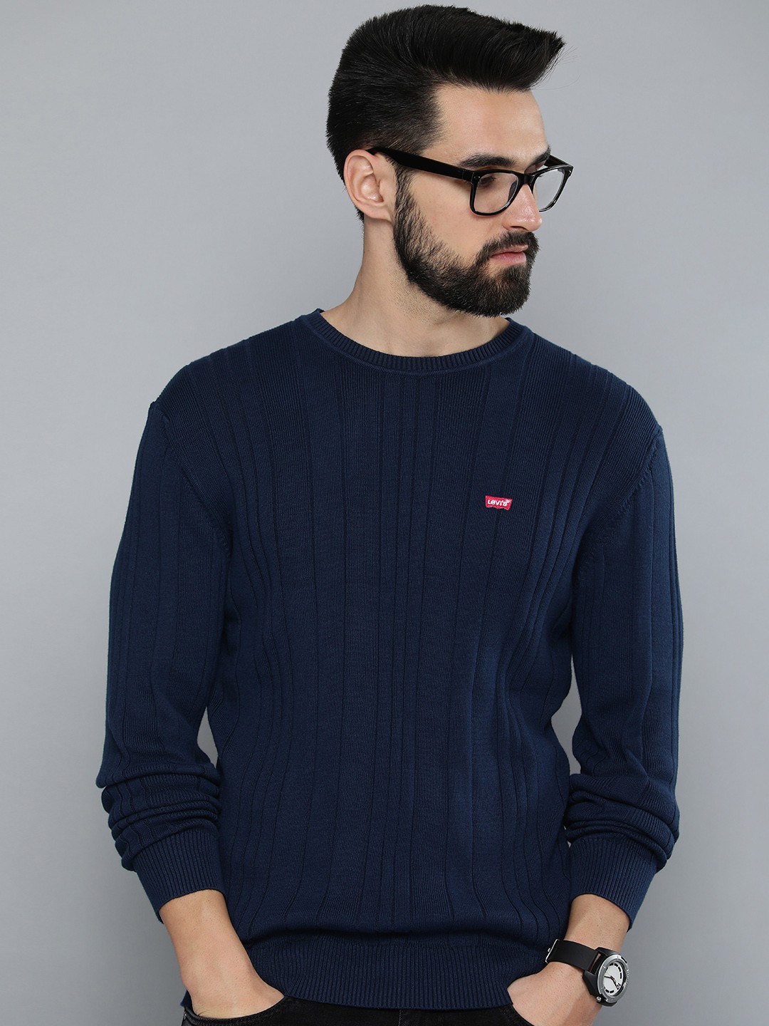 

Levis Men Navy Blue Self-Striped Crew Neck Pullover