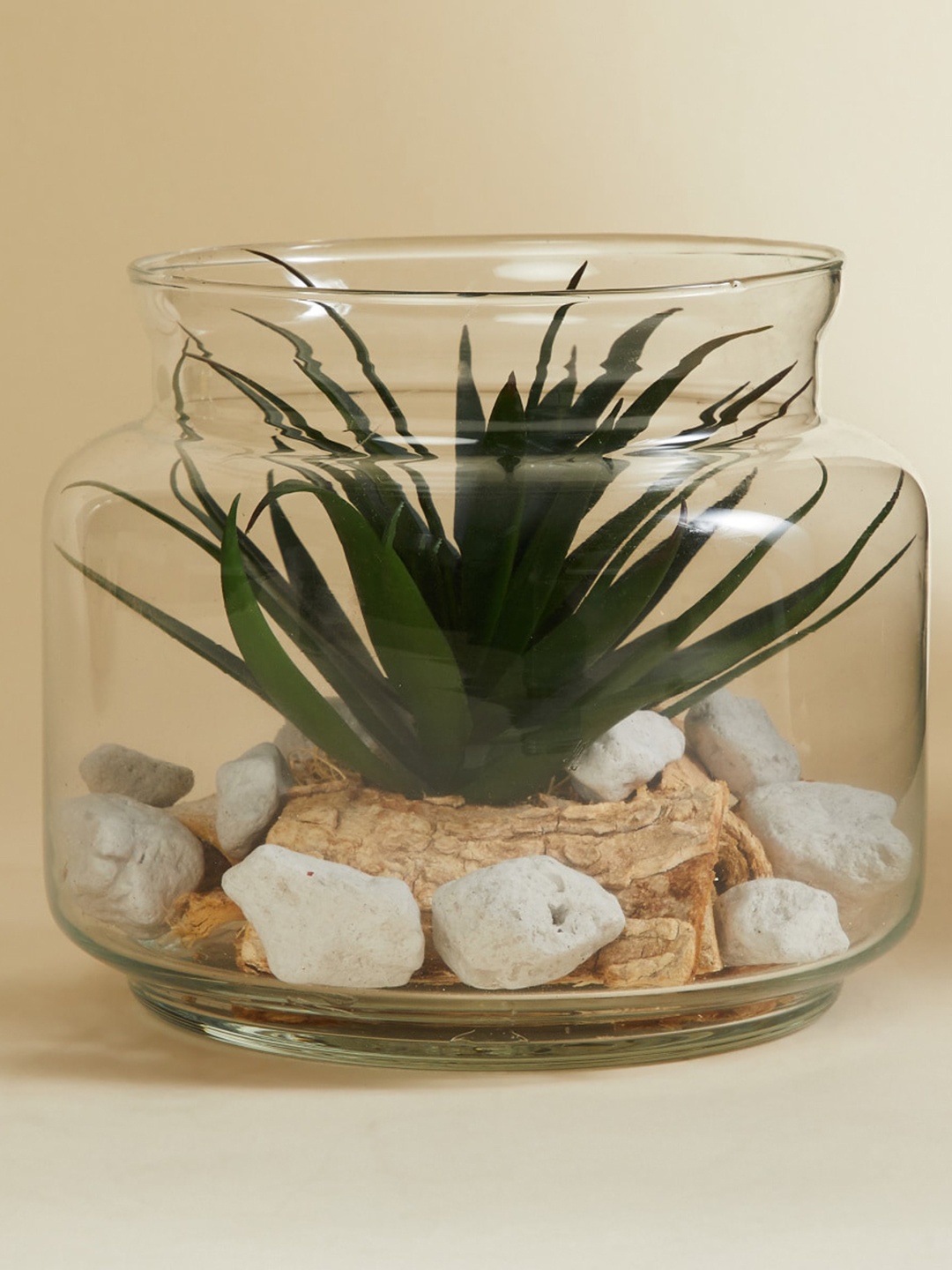 

Home Centre Green Fiesta Mania Round Glass Jar Grass Succulent