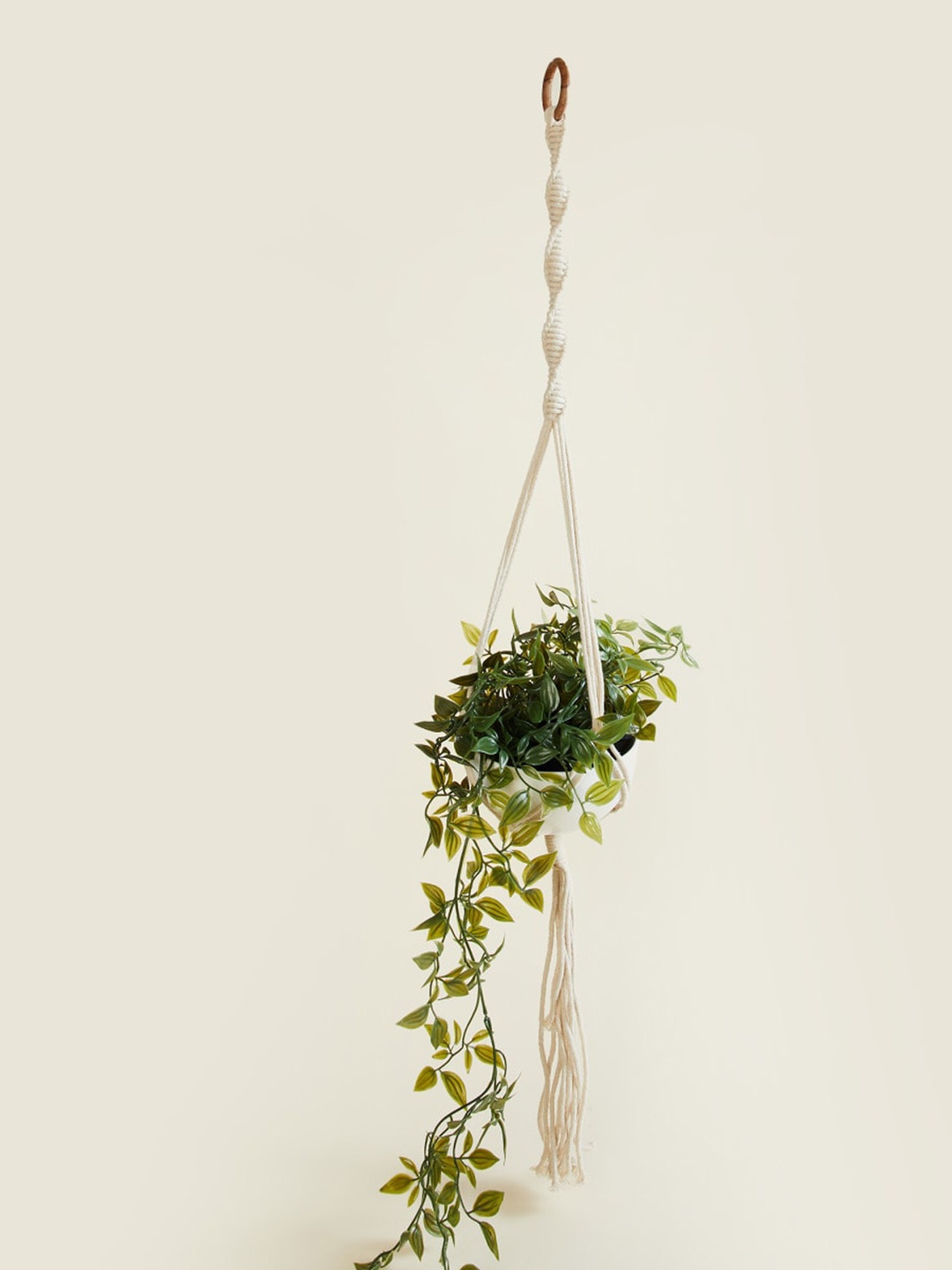 

Home Centre White Round Plastic Hanging Planter
