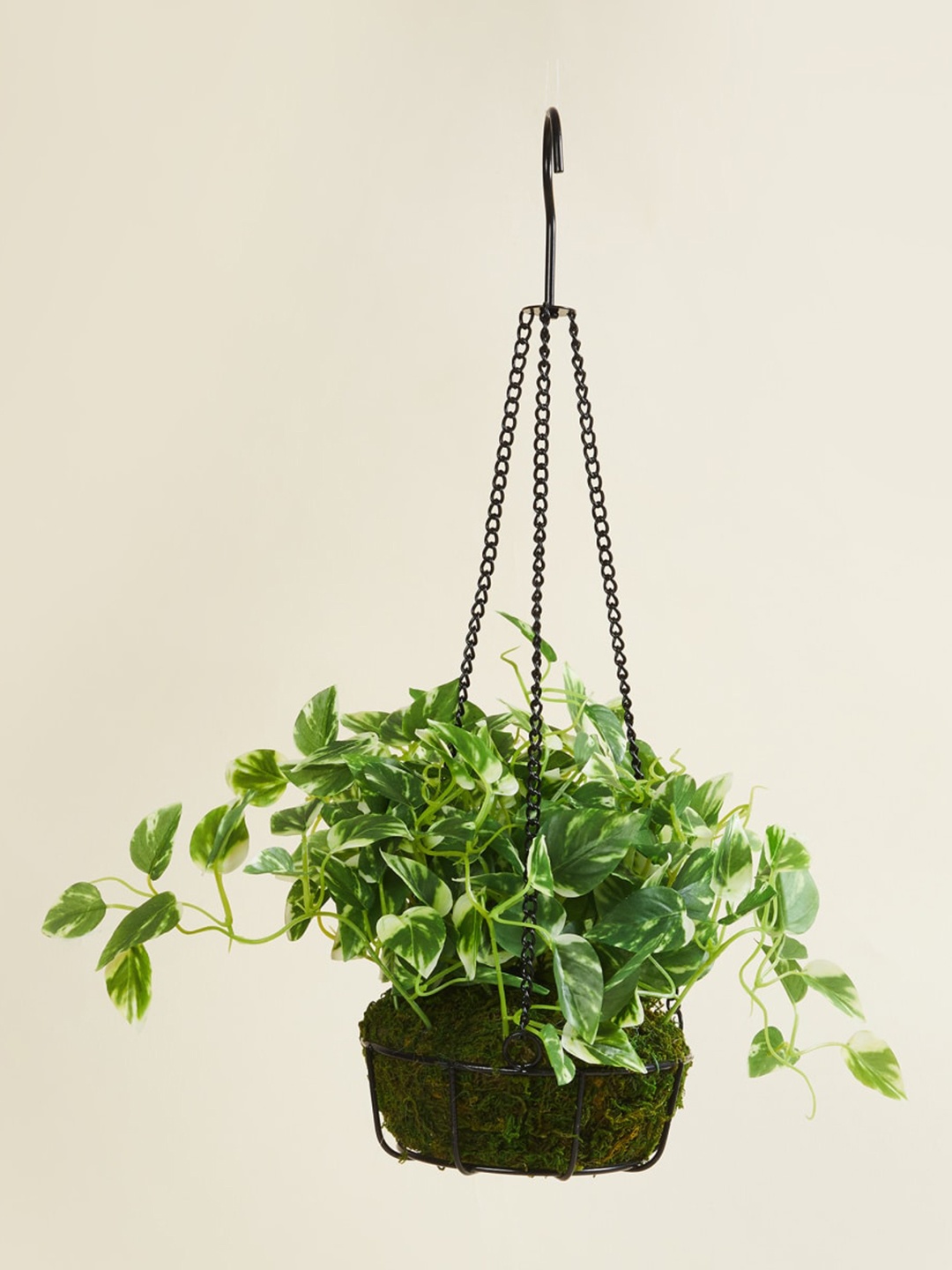 

Home Centre Green Fiesta Flurry Foliage Wall Mounted Artificial Potted Leaves