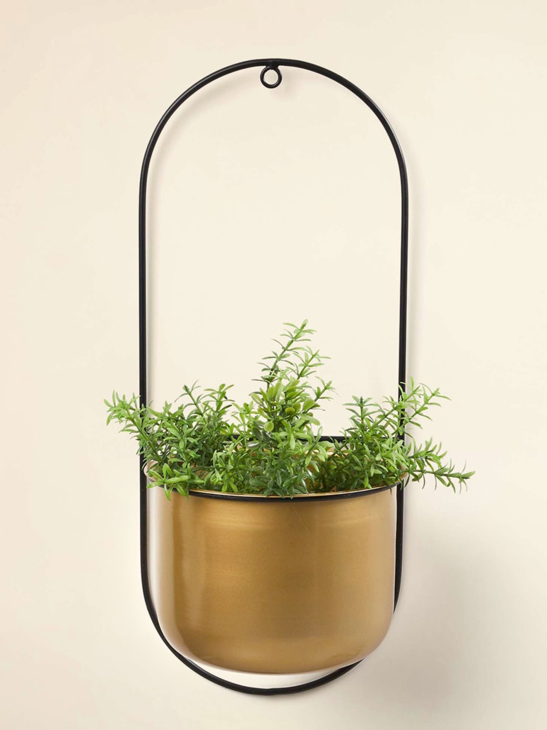 

Home Centre Gold-Toned Solid Metal Wall Mounted Planter