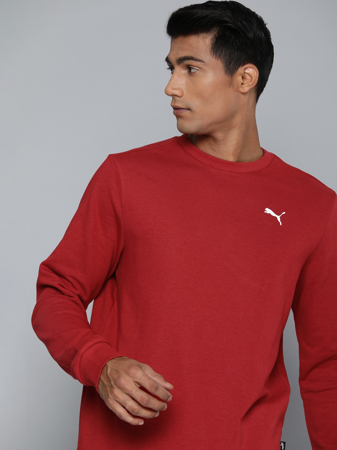 

Puma Men Maroon Brand Logo Printed Pullover Regular Fit Sweatshirt