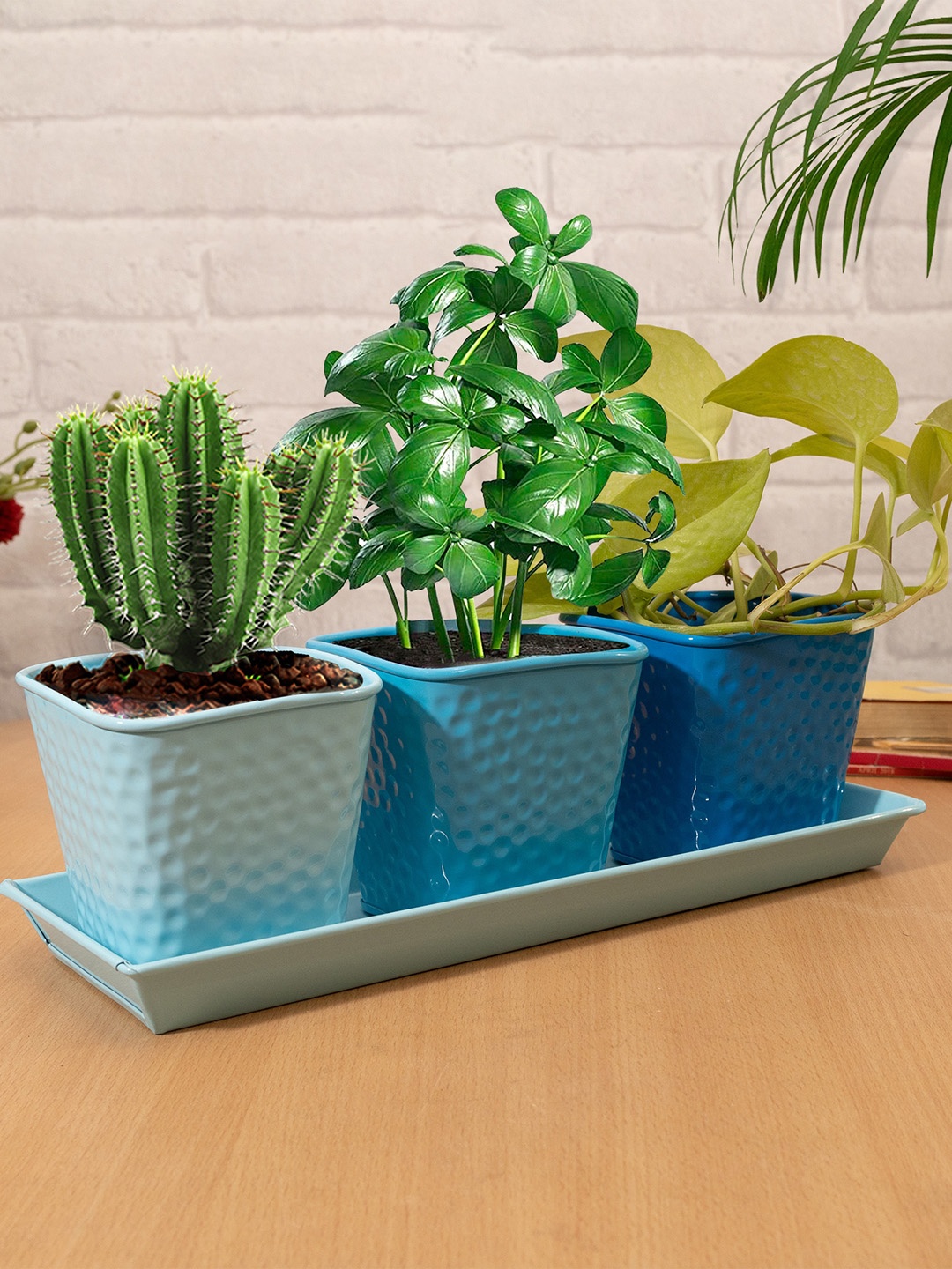 

Homesake Set Of 3 Textured Planters With Tray, Turquoise blue