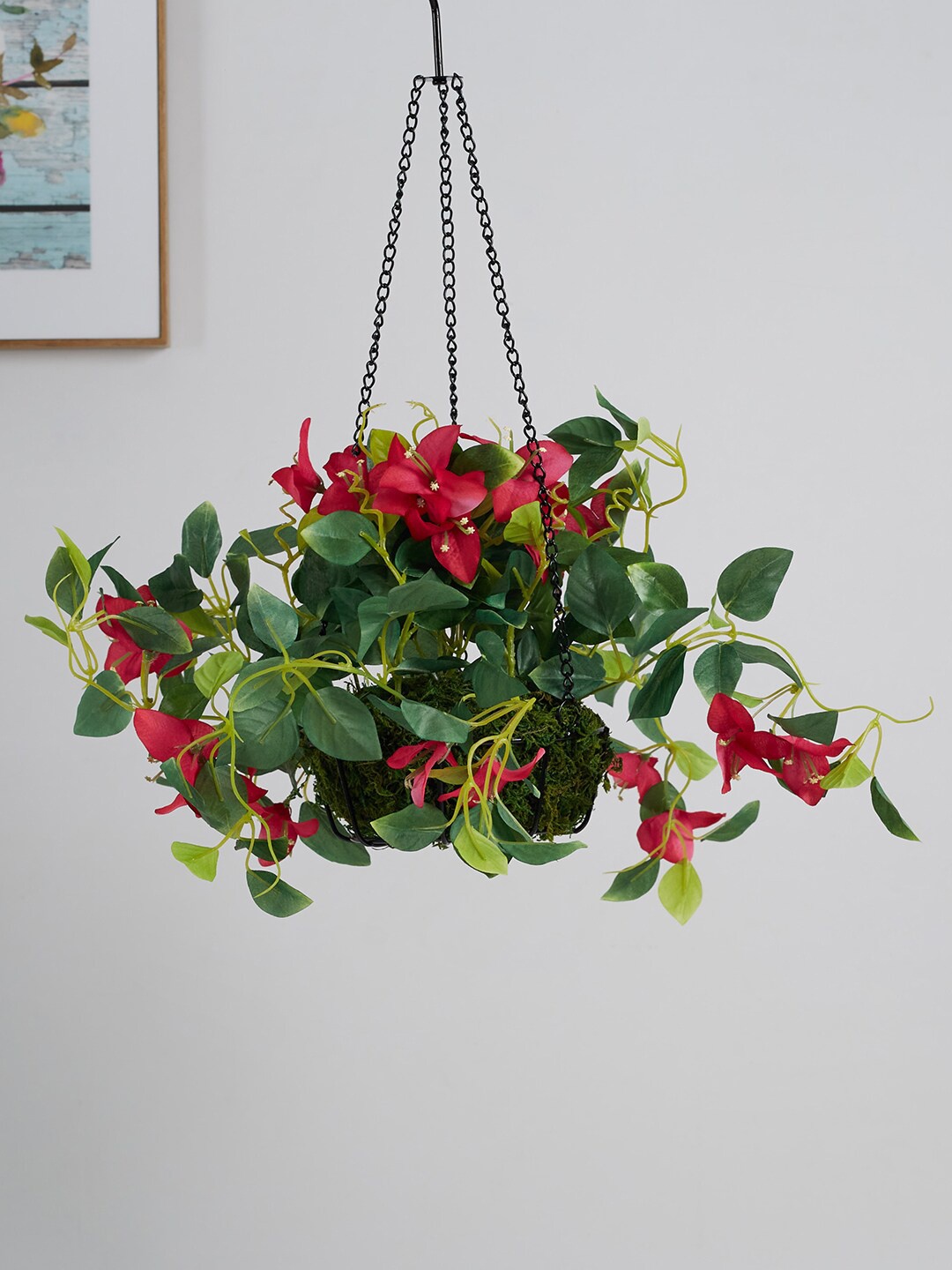 

HomeTown Artificial Hanging Bougainvillea With Pot, Fuchsia