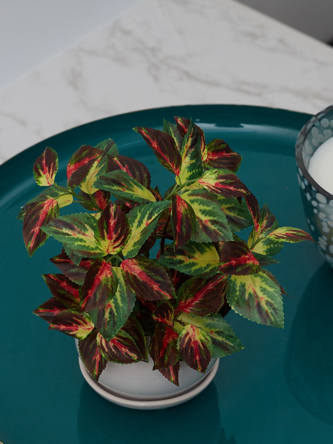 

HomeTown White & Green Ilana Faux Coleus Ceramic Artificial Flowers and Plants