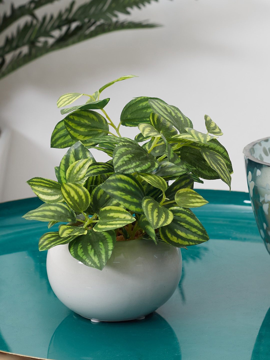 

HomeTown Green Artificial Peperomia Plant With Pot
