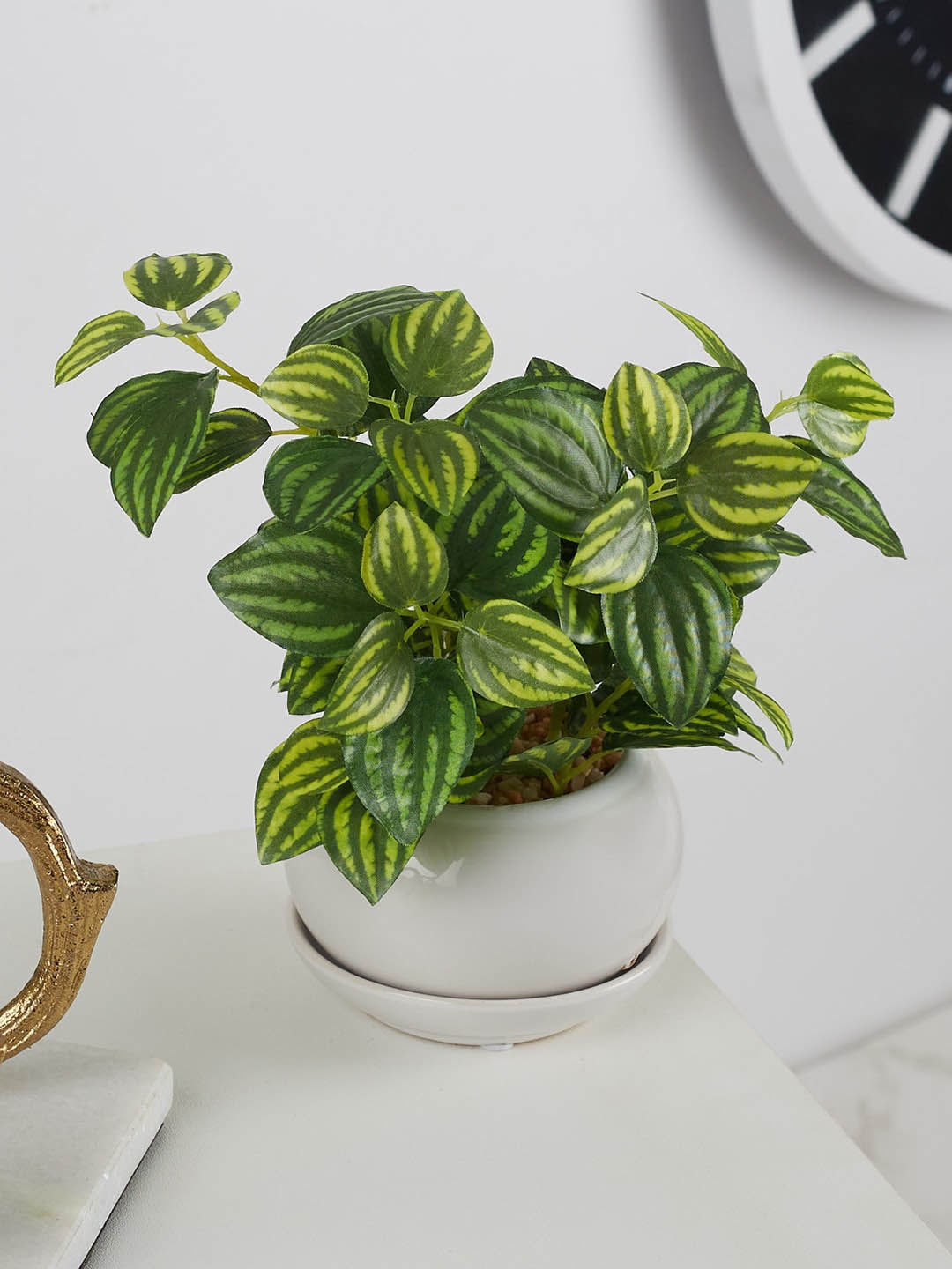 

HomeTown Green & White Ilana Faux Peperomia Ceramic Potted Artificial Flowers and Plants
