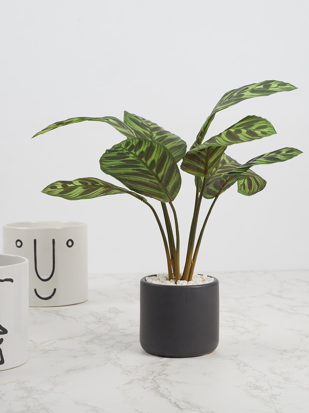 

HomeTown Black & Green Solid AIlana Faux Calathea Ceramic Potted Plant