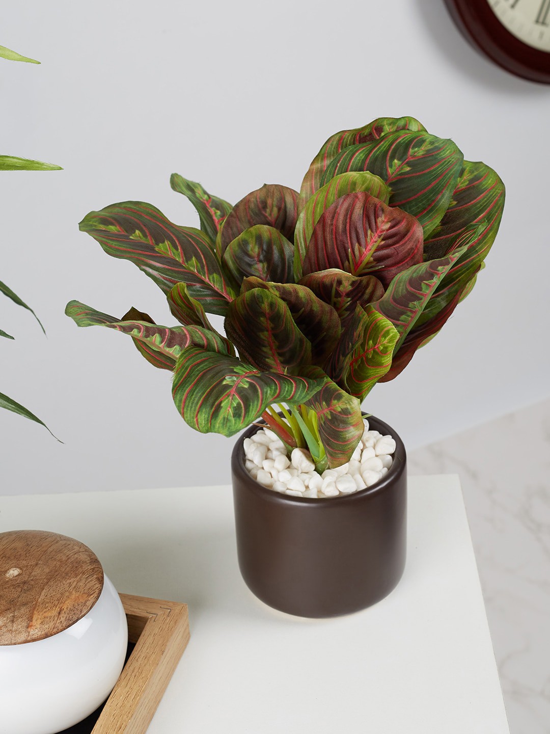 

HomeTown Black & Green Ilana Faux Maranta Artificial Flowers and Plants