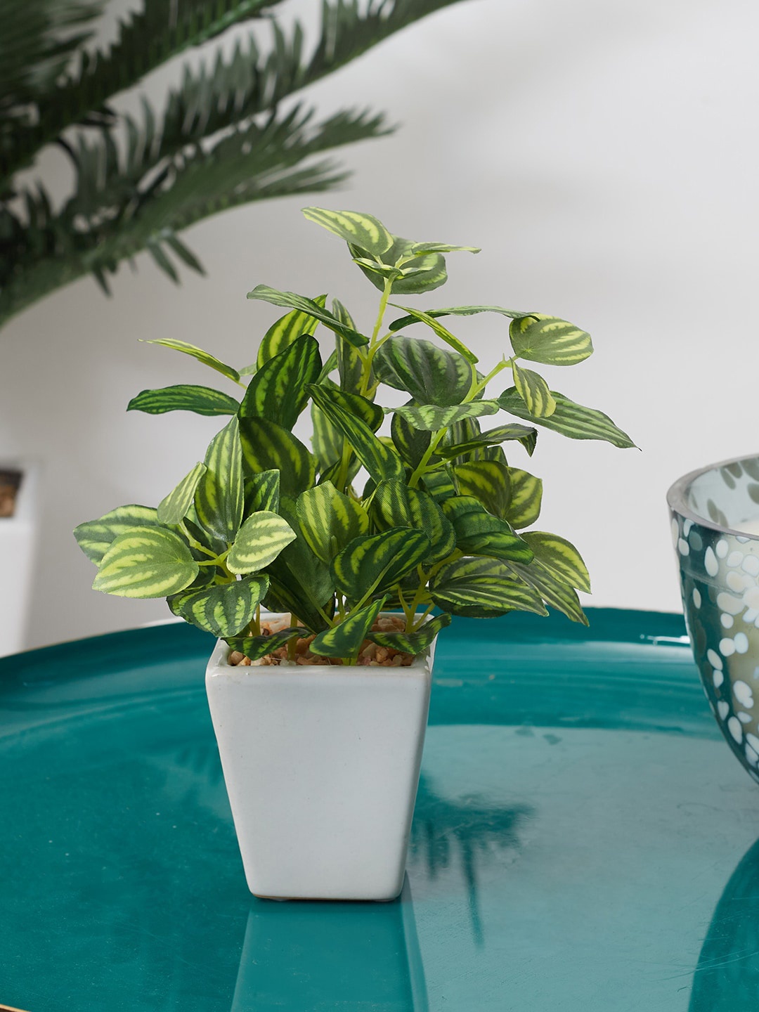 

HomeTown Green & White Artificial Peperomia Ceramic Potted Plant