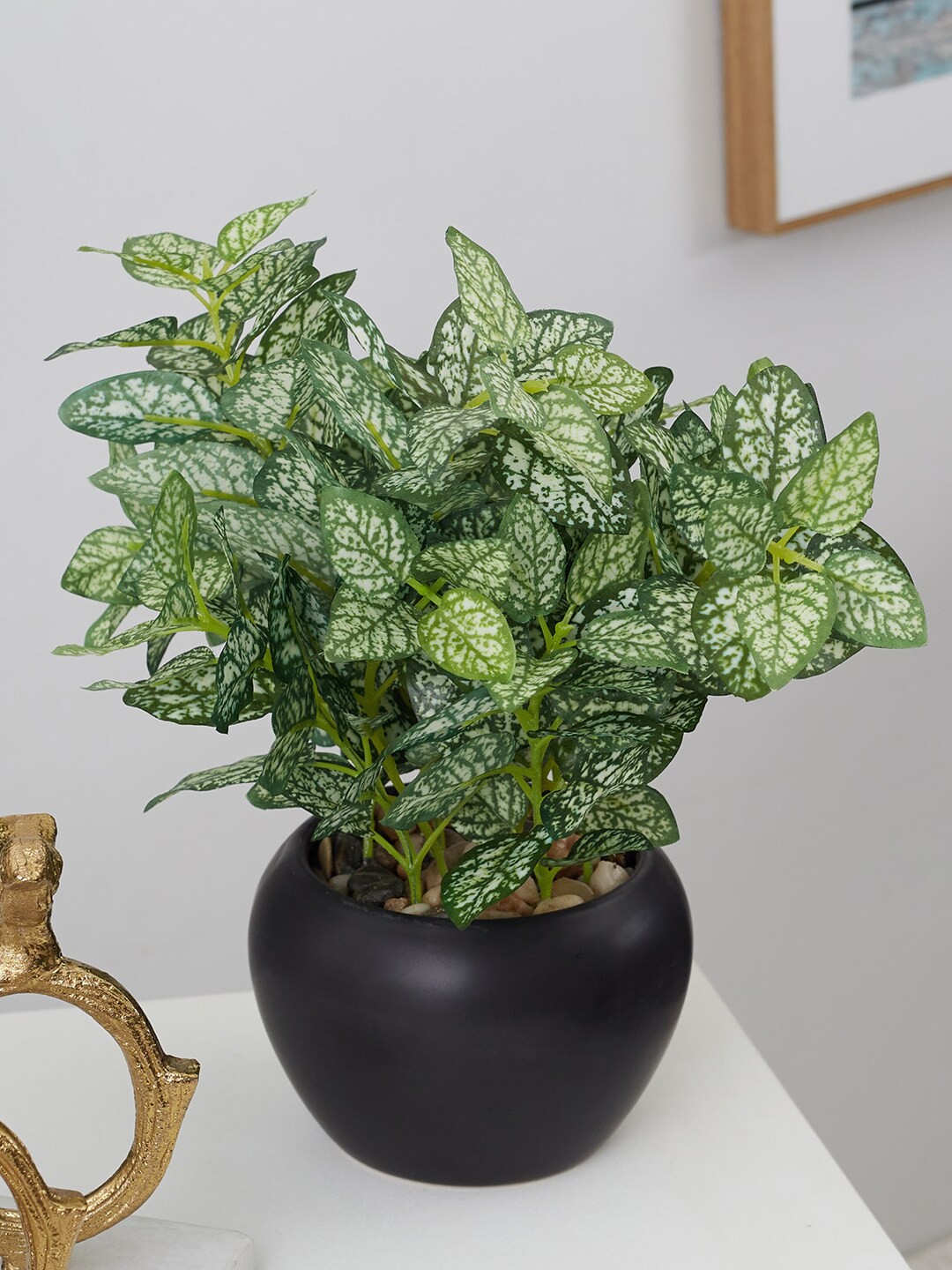 

HomeTown Green & Black Artificial Hypoestes Ceramic Potted Plant
