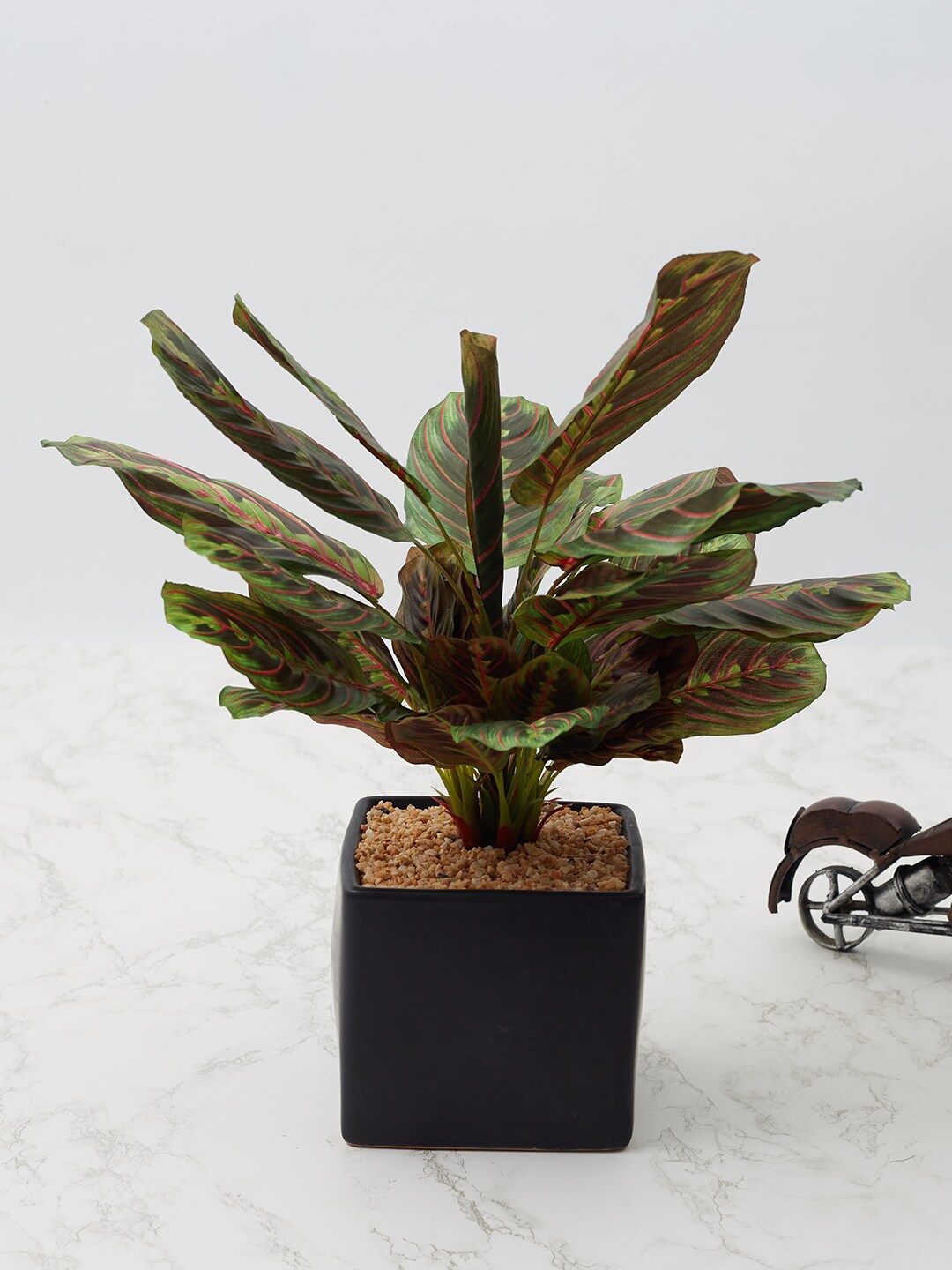 

HomeTown Green & Black Artificial Plant With Ceramic Pot