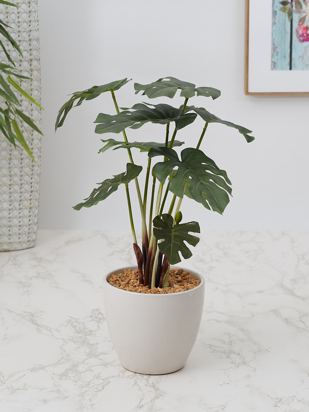 

HomeTown Green & White Philodendron Ceramic Artificial Flowers and Plants