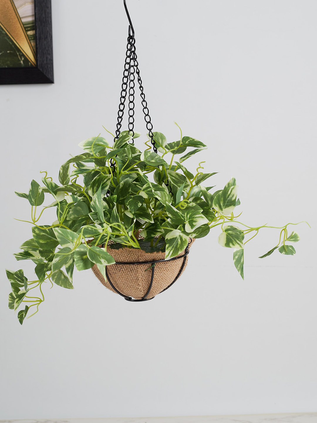 

HomeTown Green Pathos Plant With Hanging Pot
