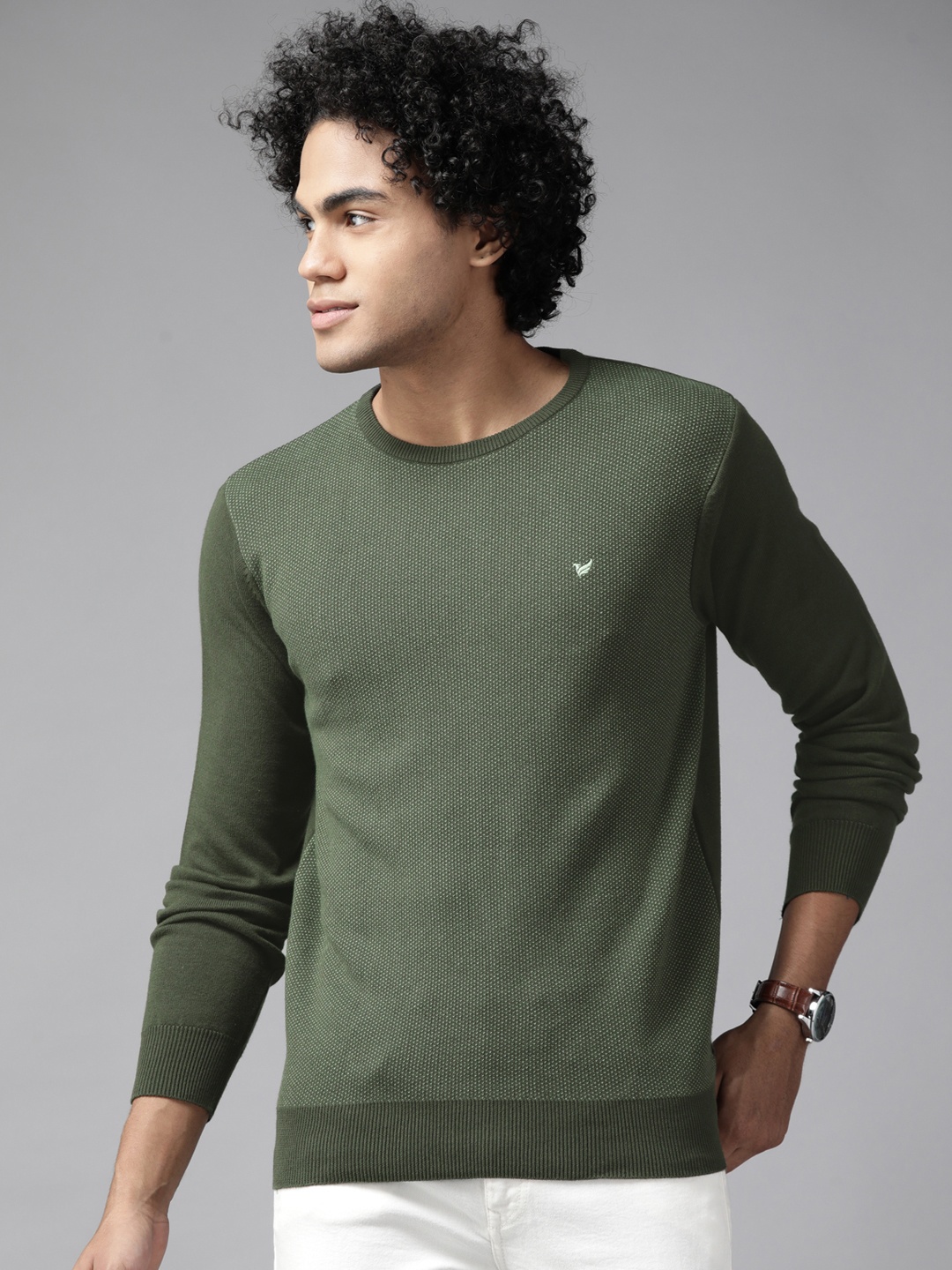 

Blackberrys Men Olive Green Pure Cotton Pullover