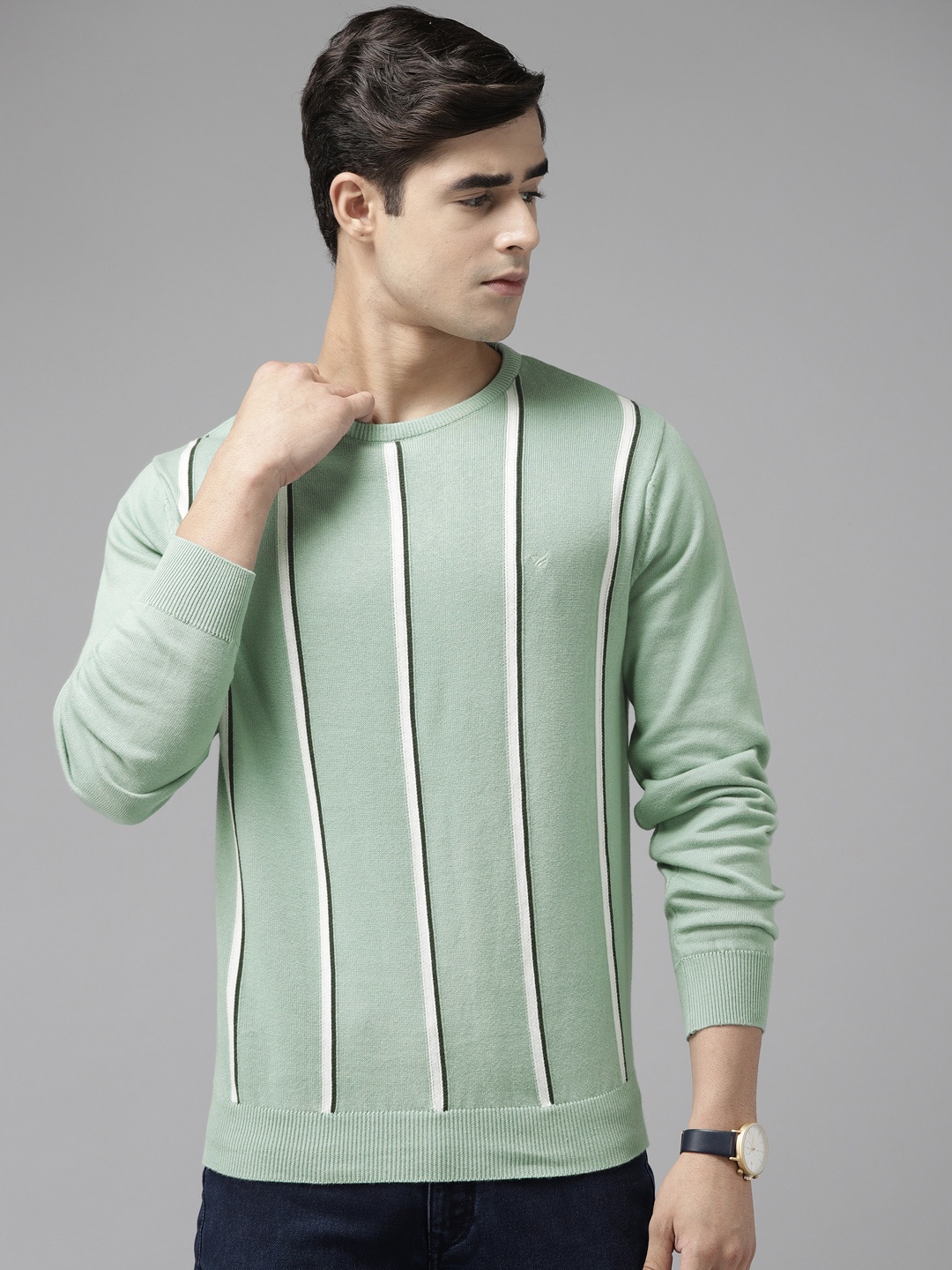 

Blackberrys Men Cotton Green Striped Pullover