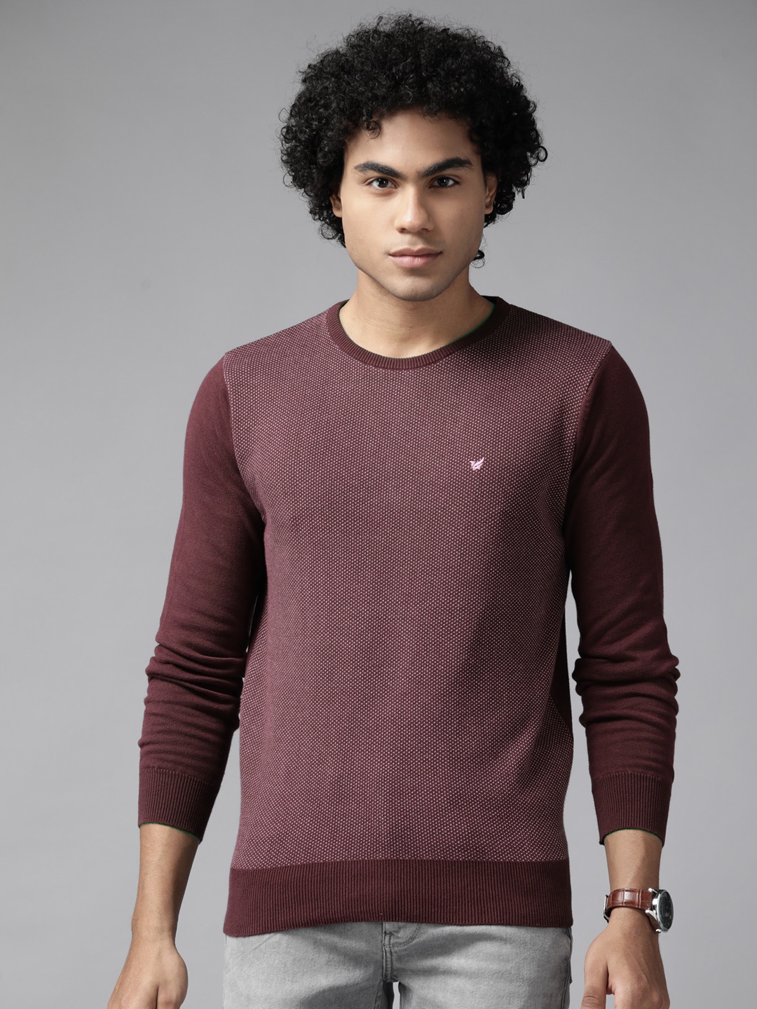 

Blackberrys Men Burgundy Self-Design Pullover