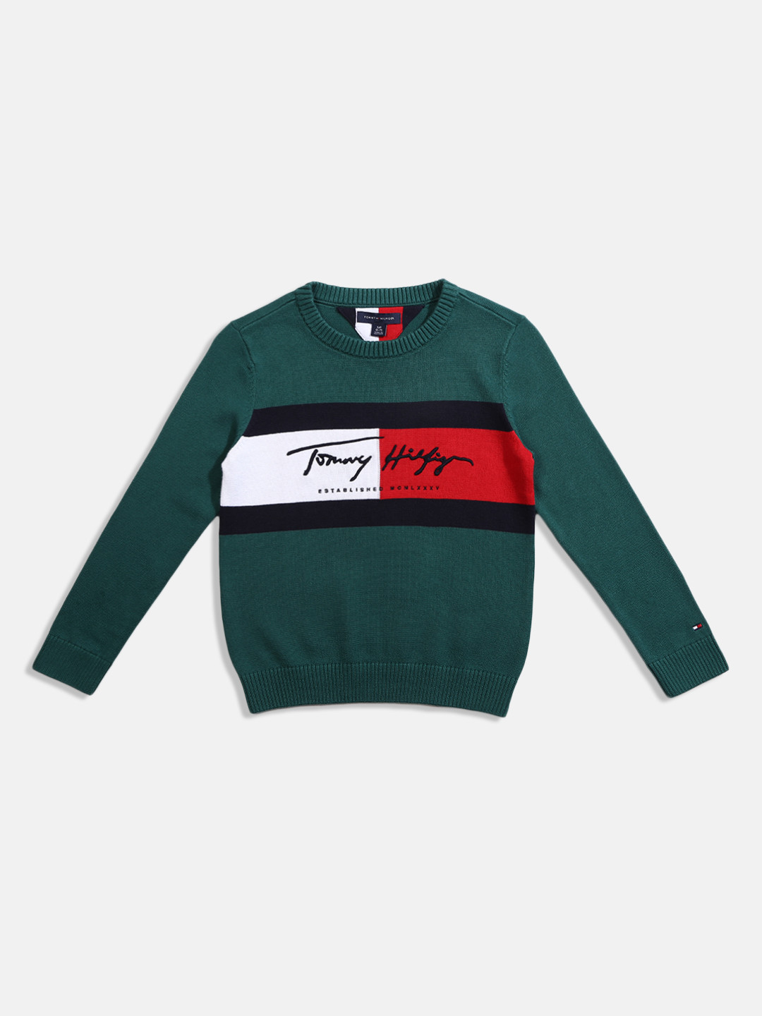 

Tommy Hilfiger Boys Brand Logo Printed Pullover, Green