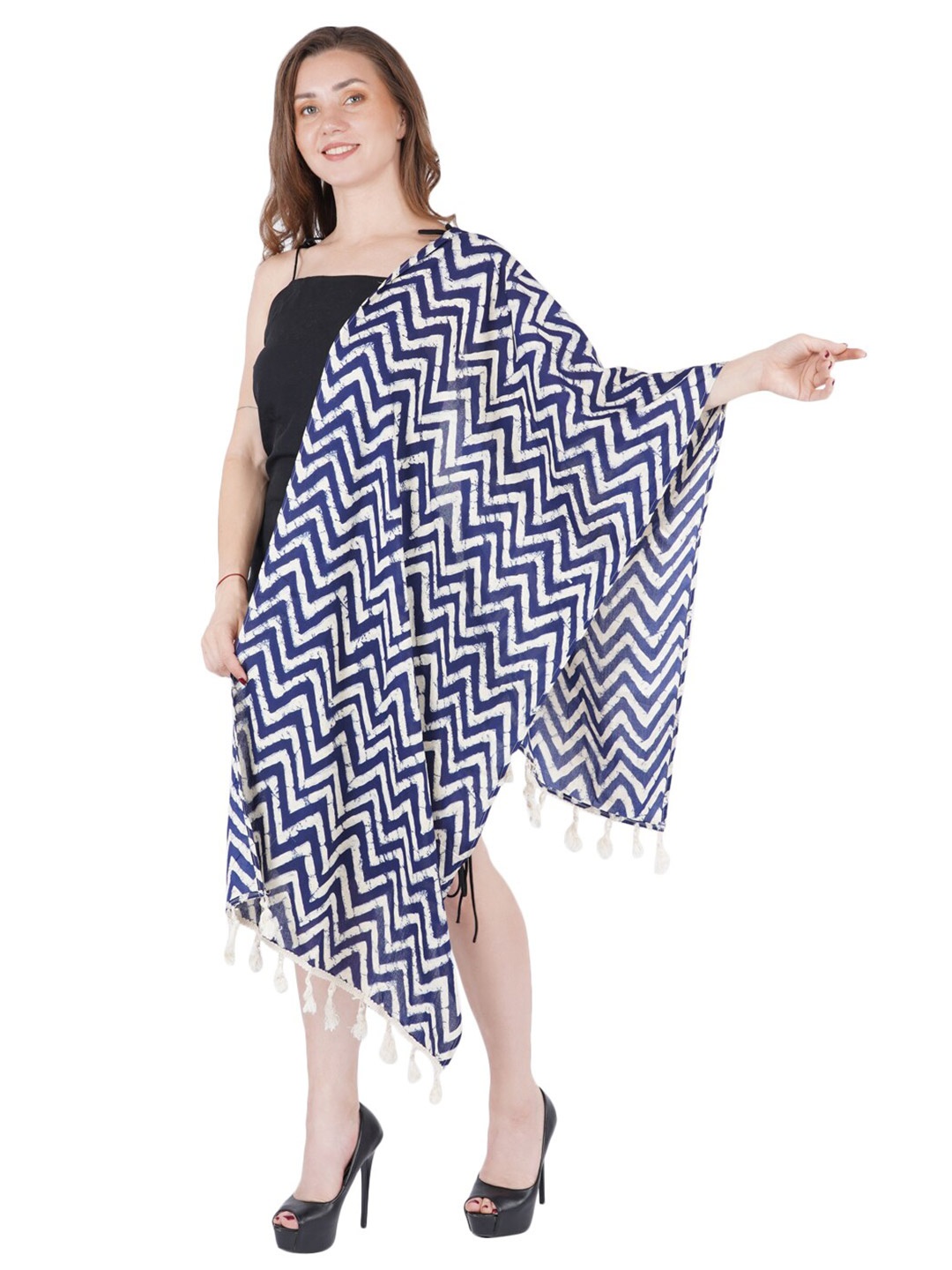 

Style Shoes Women Navy Blue & White Printed Stole