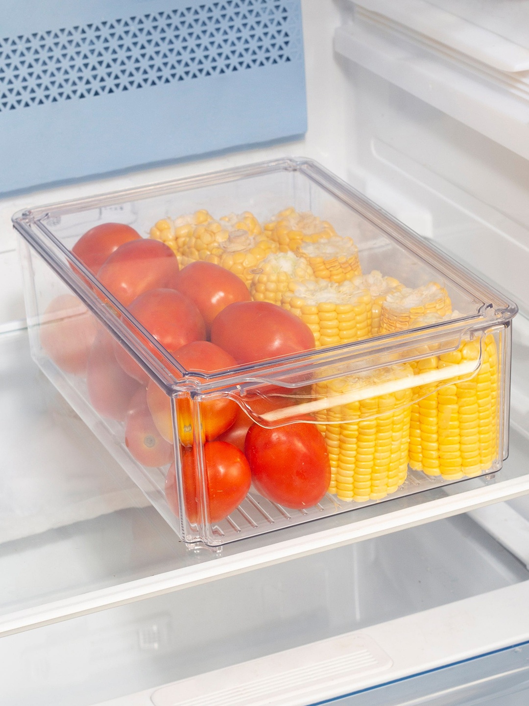 

HomeTown Transparent Plastic Rectangle Fridge Organizer 5.7 Ltr