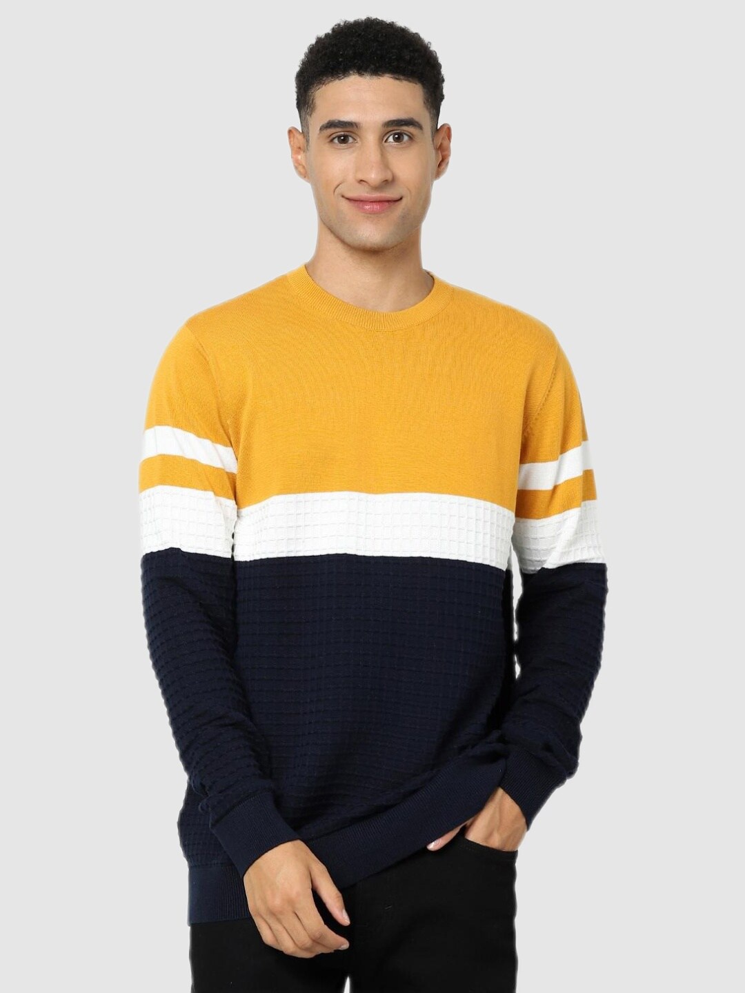 

Celio Men Navy Blue & White Colourblocked Pullover