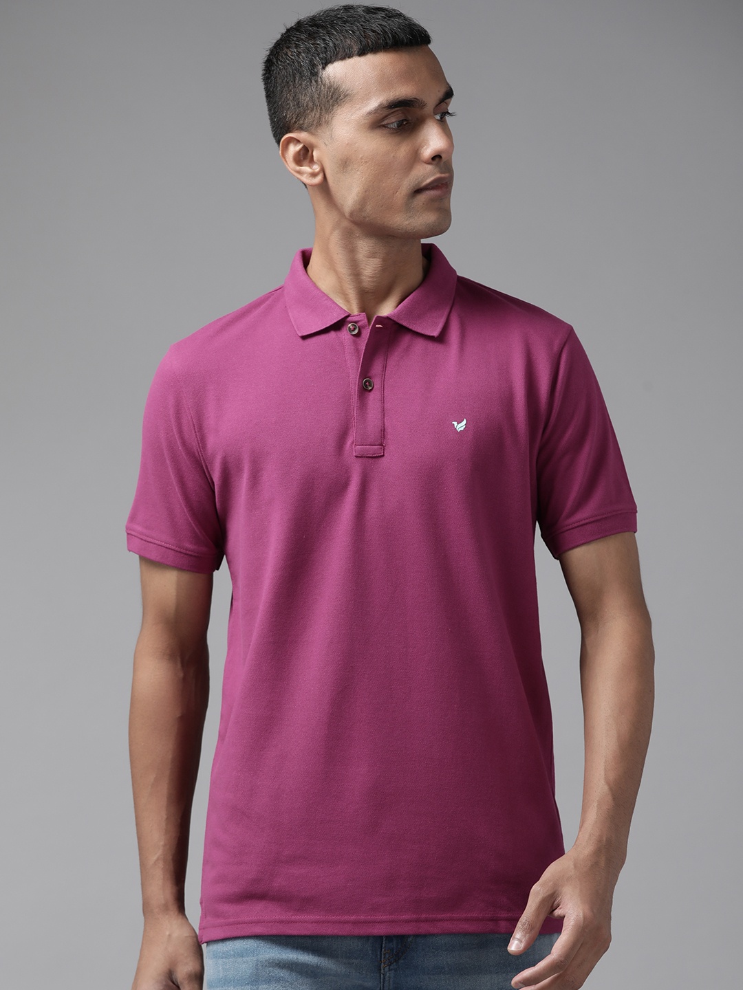 

Blackberrys Men Fuchsia Polo Collar Slim Fit T-shirt