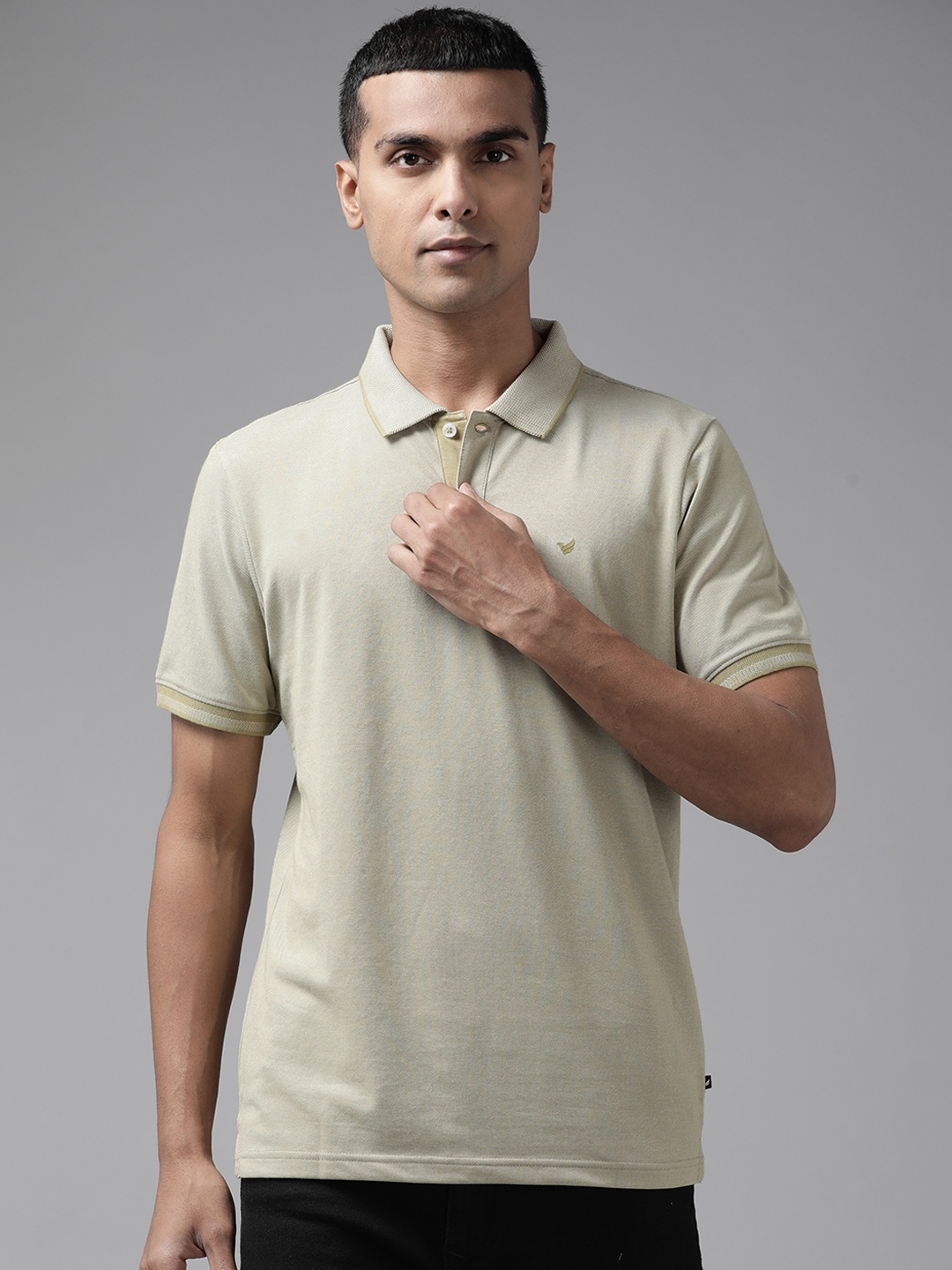 

Blackberrys Men Green Polo Collar Slim Fit T-shirt