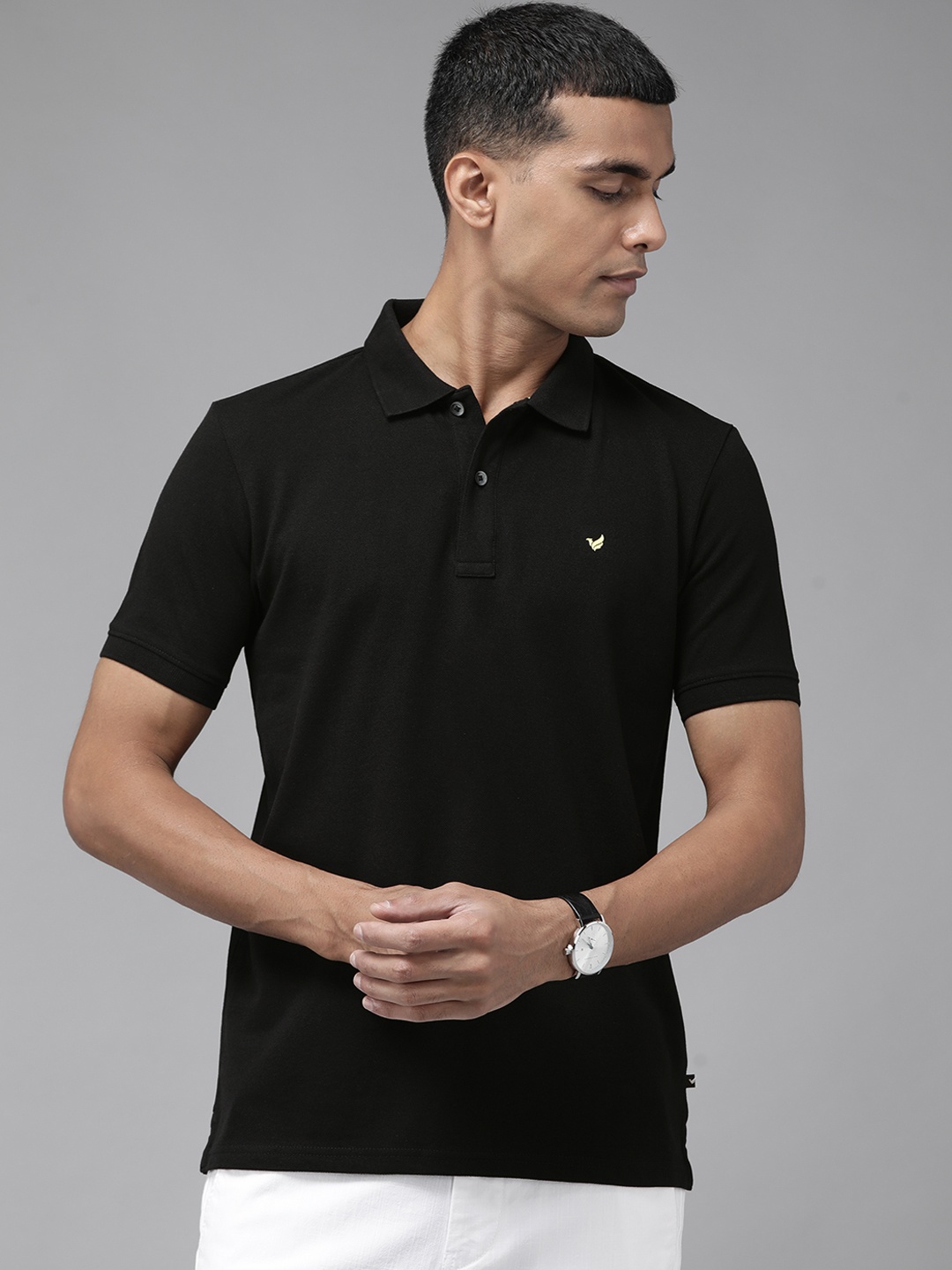 

Blackberrys Men Black Polo Collar T-shirt