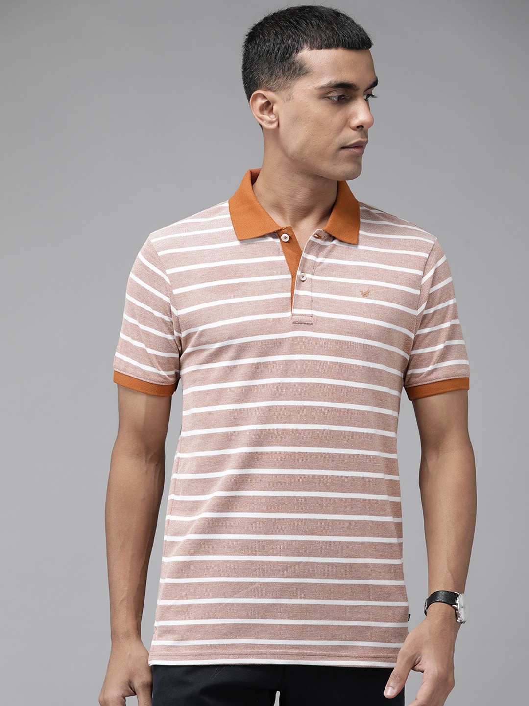 

Blackberrys Men Brown & White Striped Polo Collar T-shirt