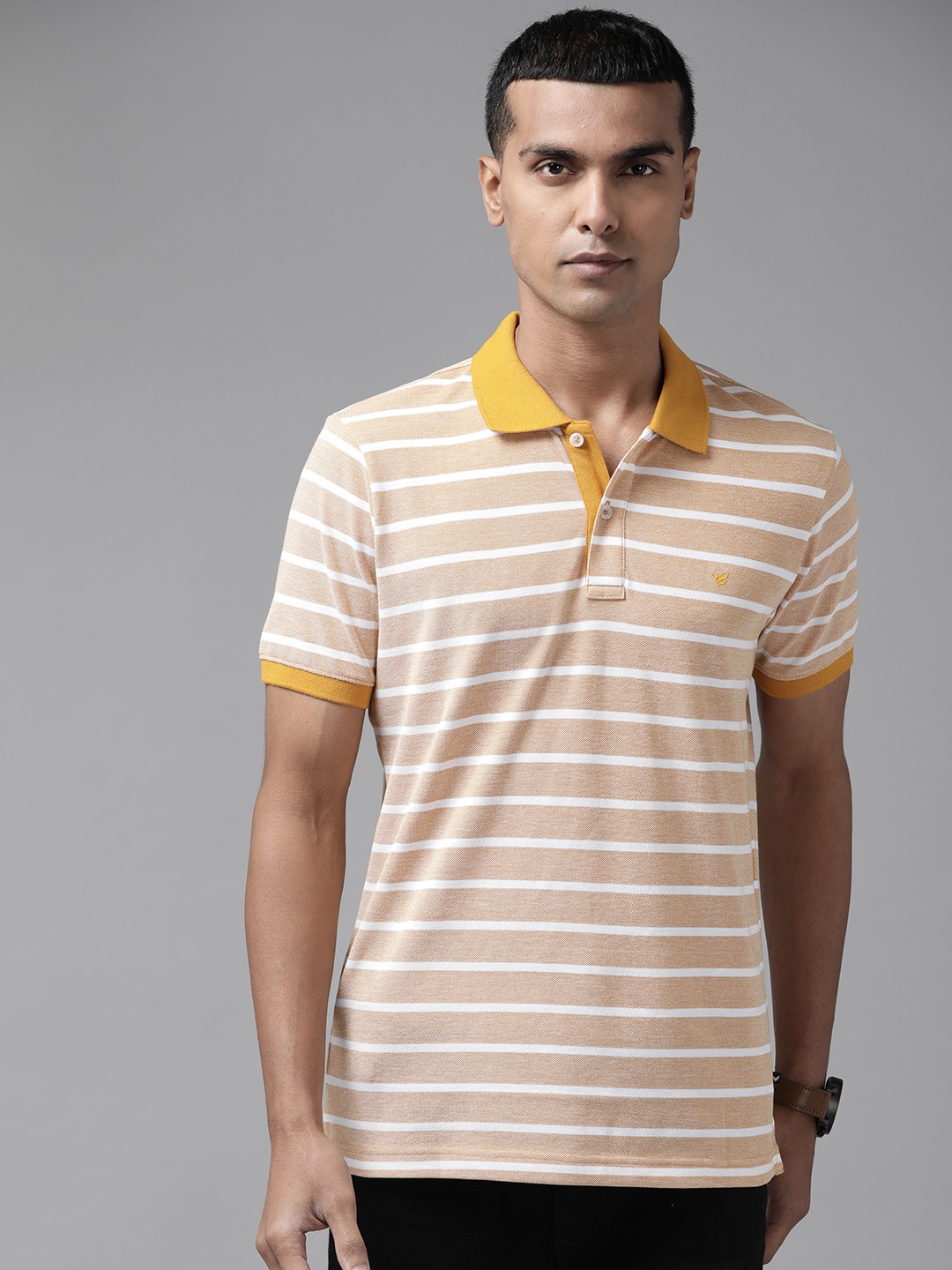 

Blackberrys Men Mercerized Polo Tshirt, Yellow