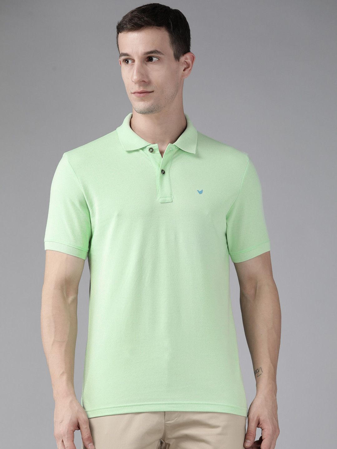 

Blackberrys Men Sage Green Polo Collar Slim Fit T-shirt