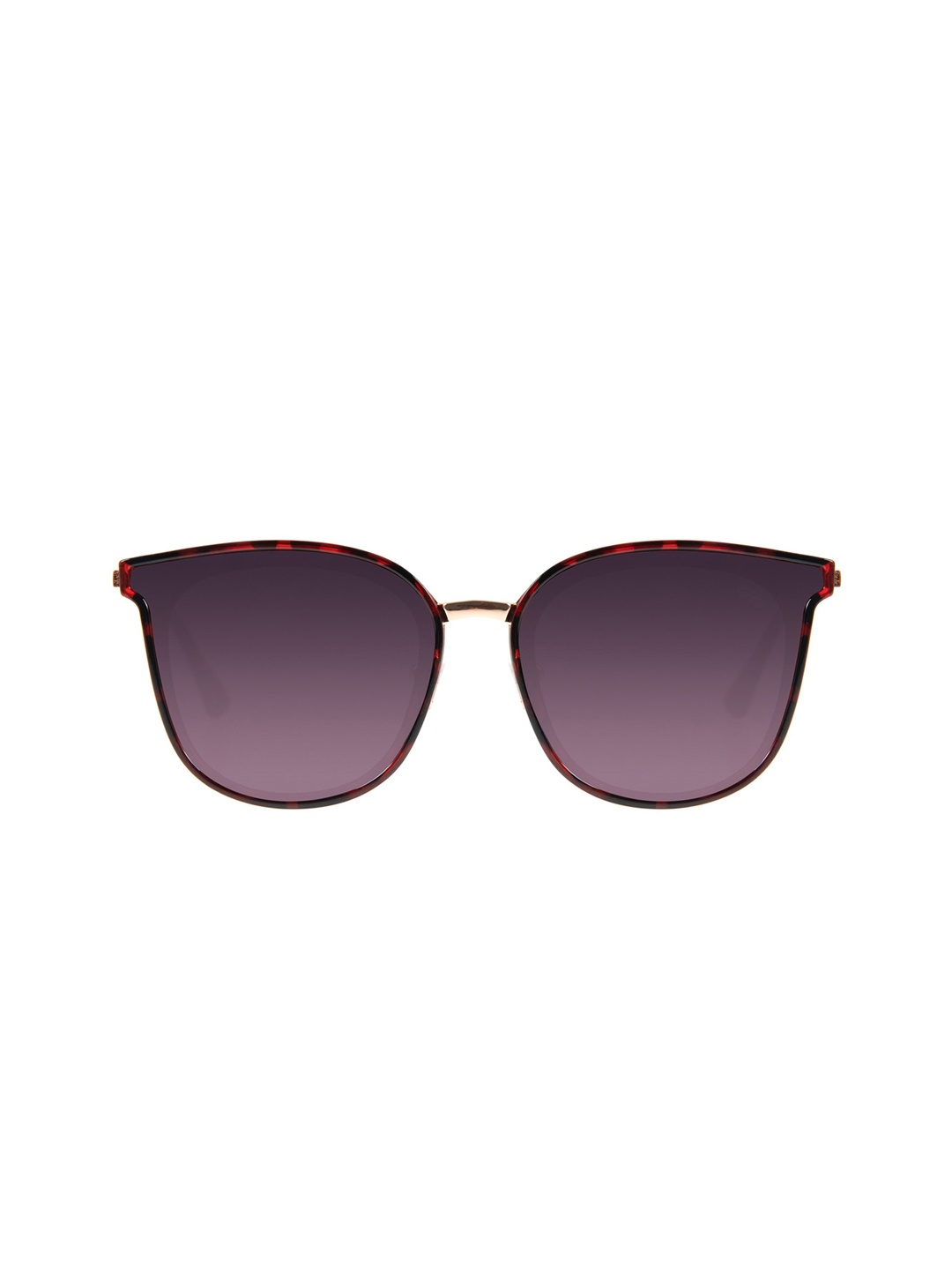 

Chilli Beans Women Purple Lens & Red Square Sunglasses with UV Protected Lens