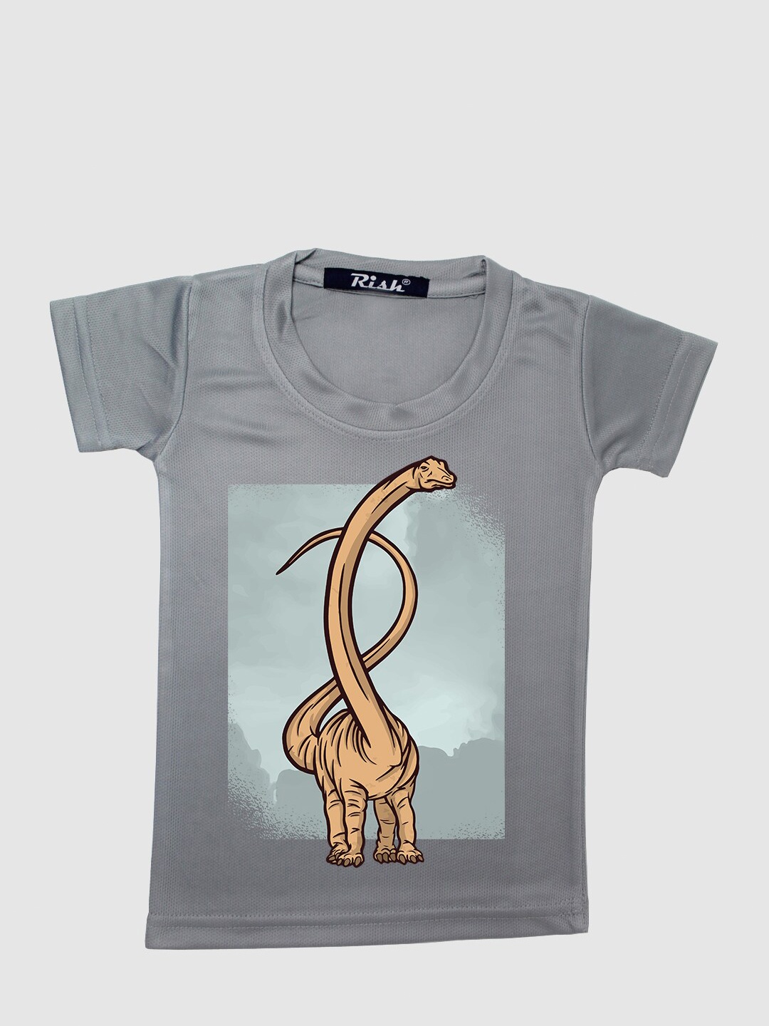 

RISH Kids Grey Dinosaur Printed T-shirt