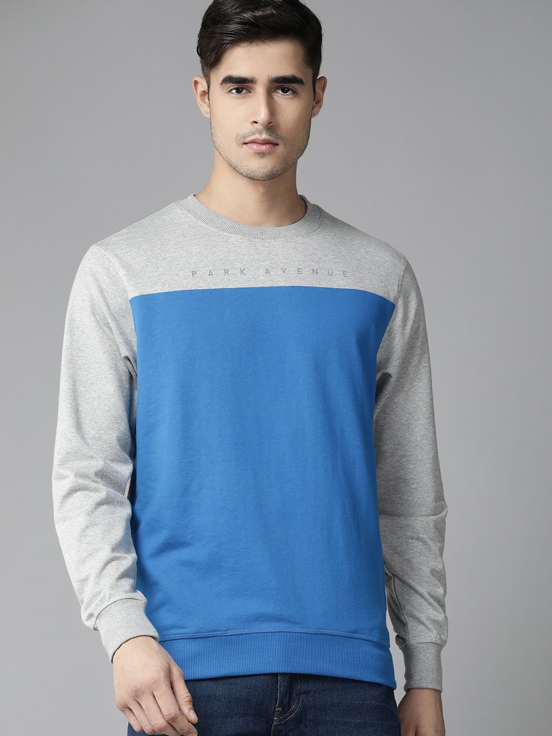 

Park Avenue Men Blue Colourblocked Sweatshirt