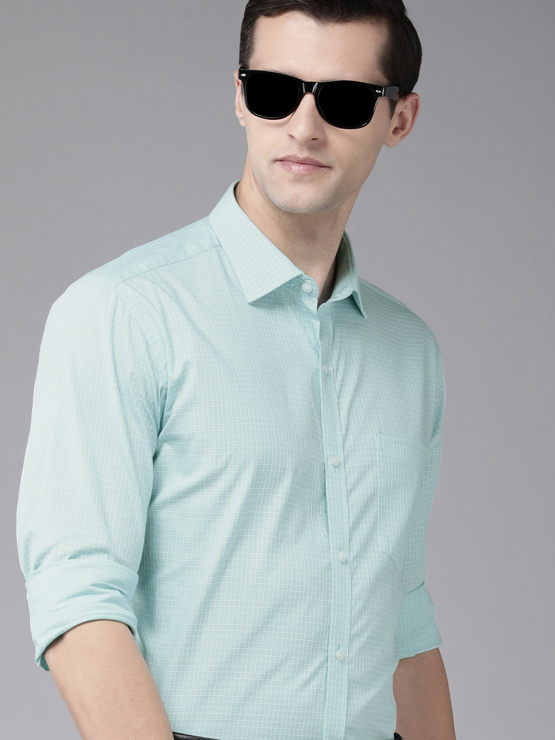 

Park Avenue Men Blue & White Slim Fit Checked Pure Cotton Formal Shirt