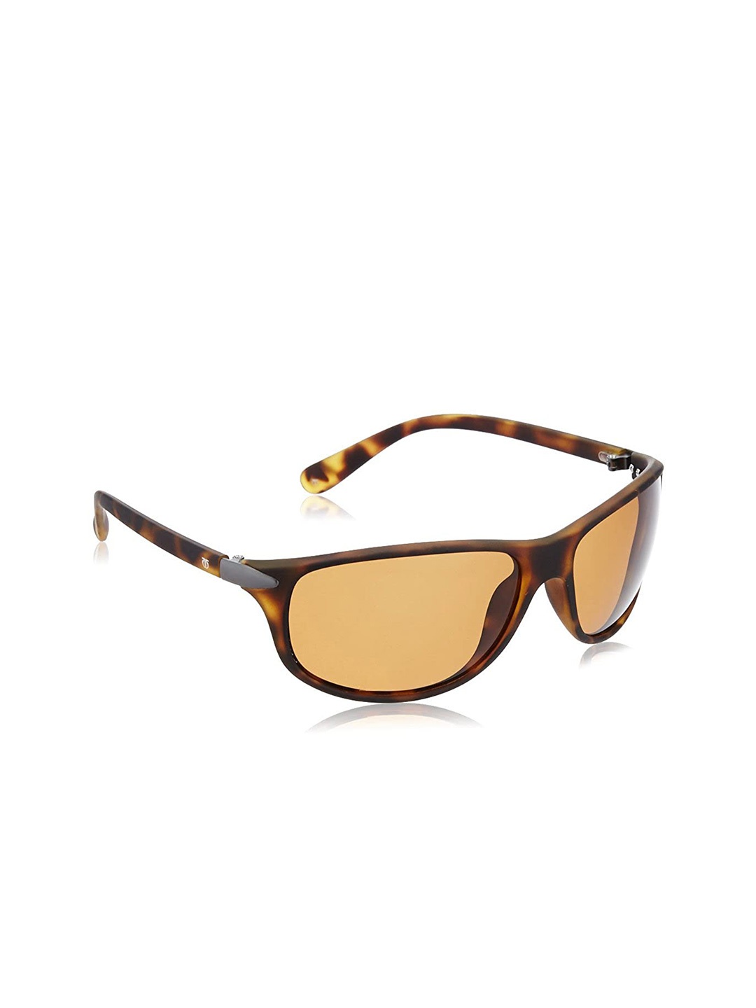 

Titan Unisex Brown Lens & Brown Sports Sunglasses with Polarised G191TLMLTA