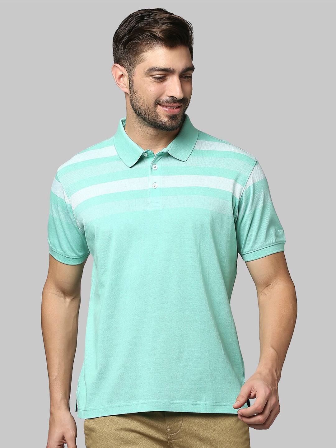 

Park Avenue Men Green & White Striped Polo Collar Slim Fit T-shirt