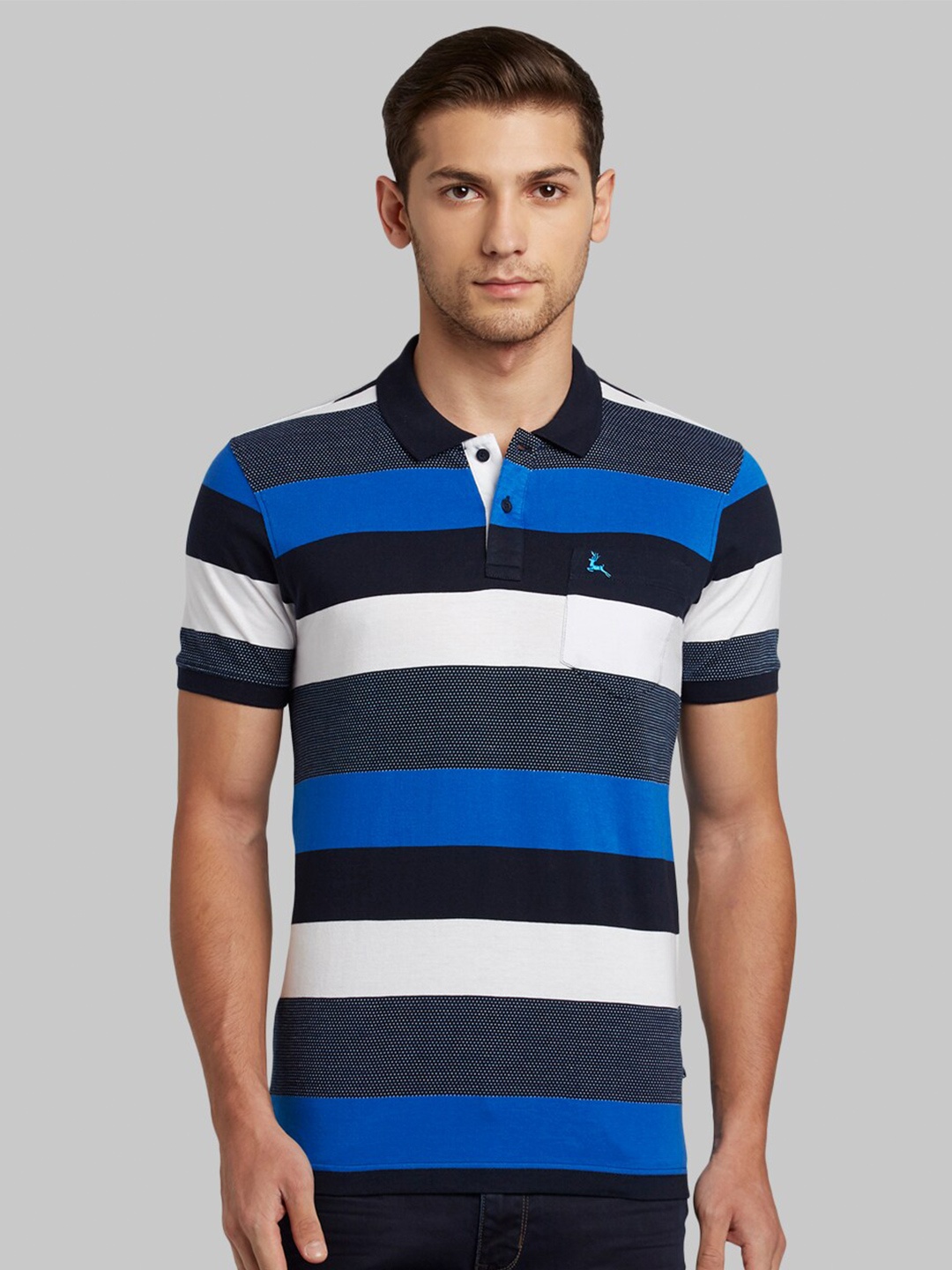 

Parx Men Blue Striped Polo Collar T-shirt