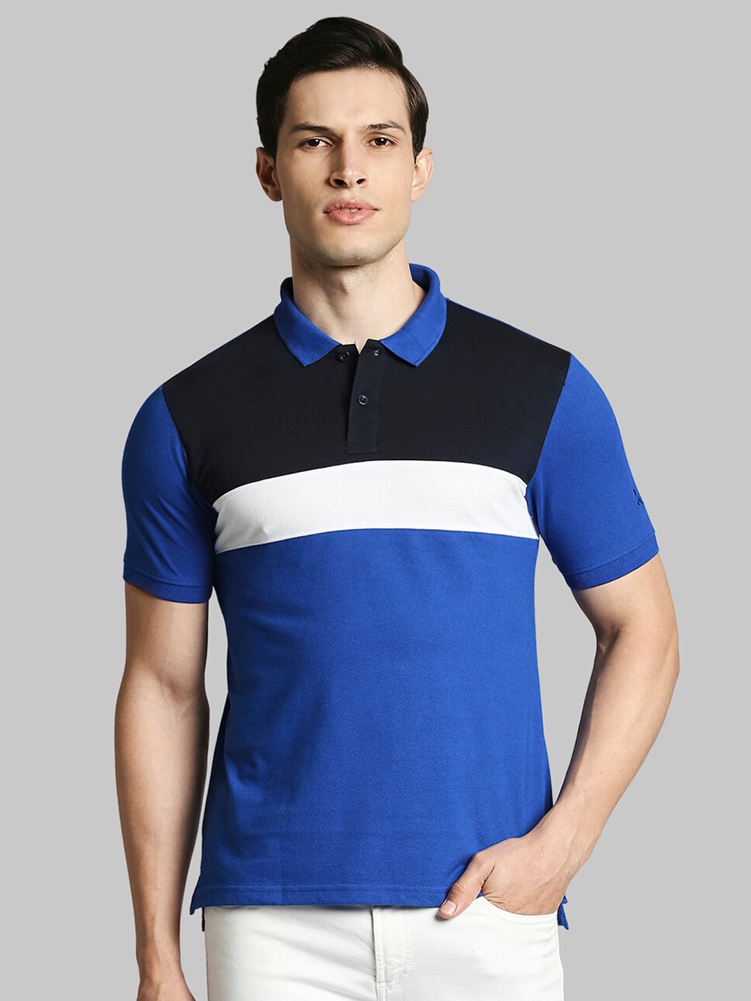 

Parx Men Blue Colourblocked Polo Collar Applique T-shirt