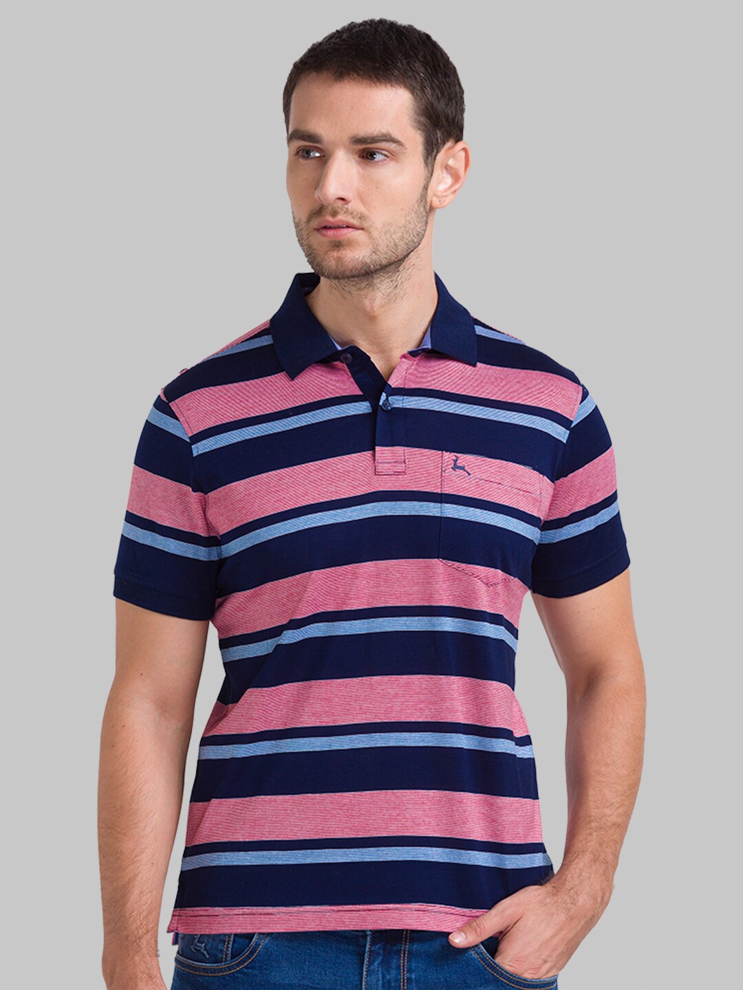 

Parx Men Blue & Pink Striped Polo Collar T-shirt
